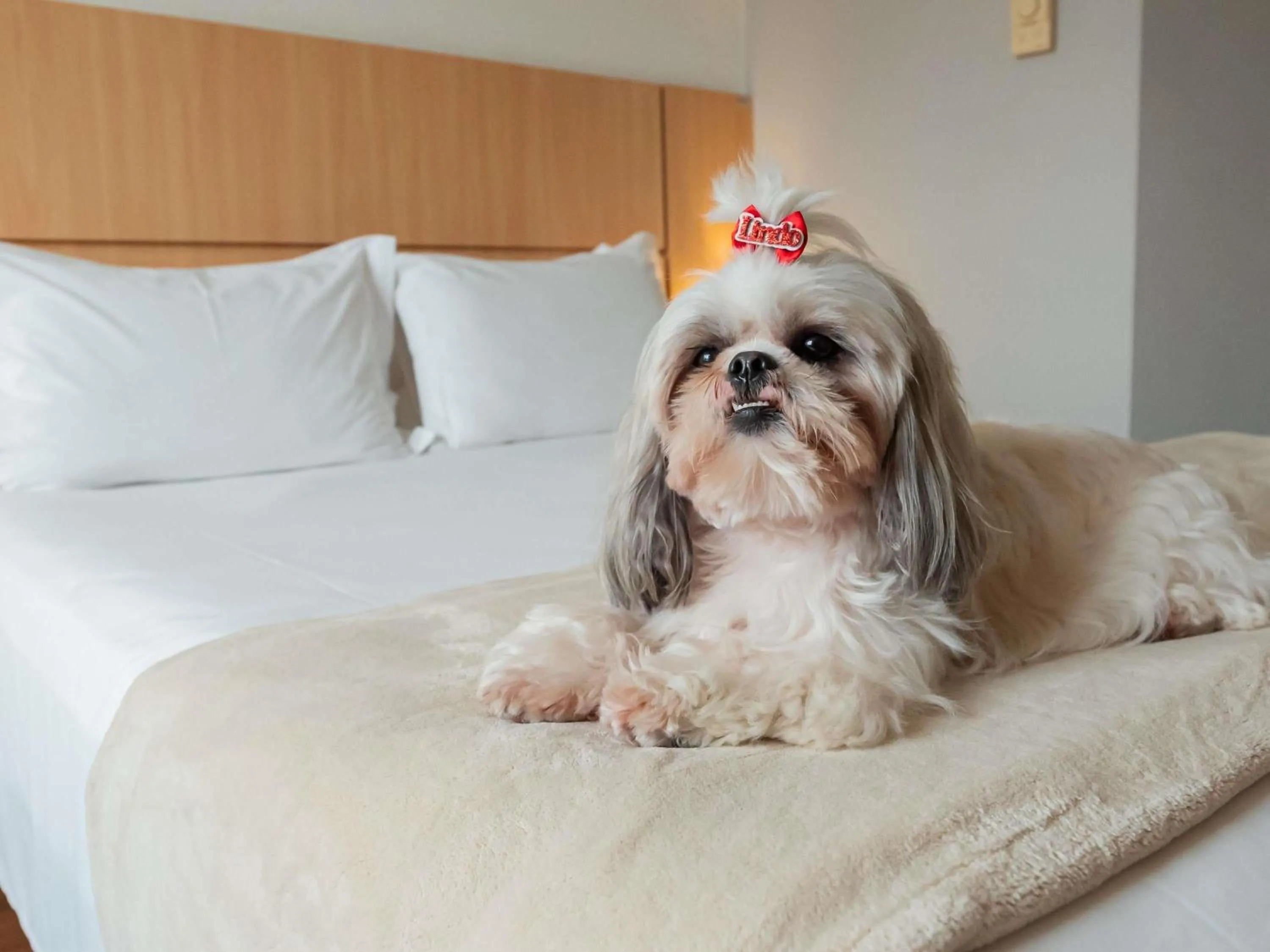 Bedroom, Bed in Ibis Florianopolis