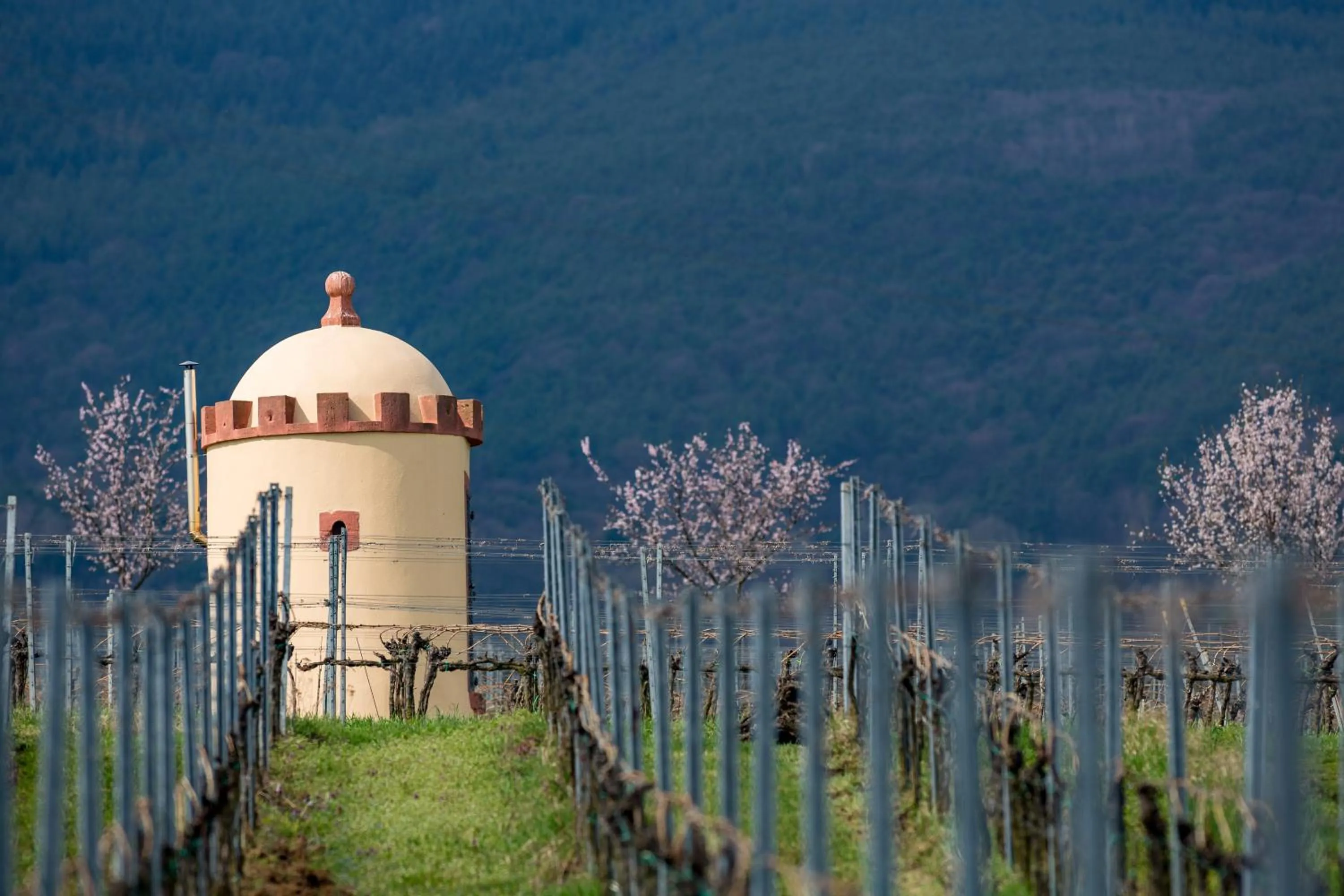 Nearby landmark in Hotel-Residenz Immenhof