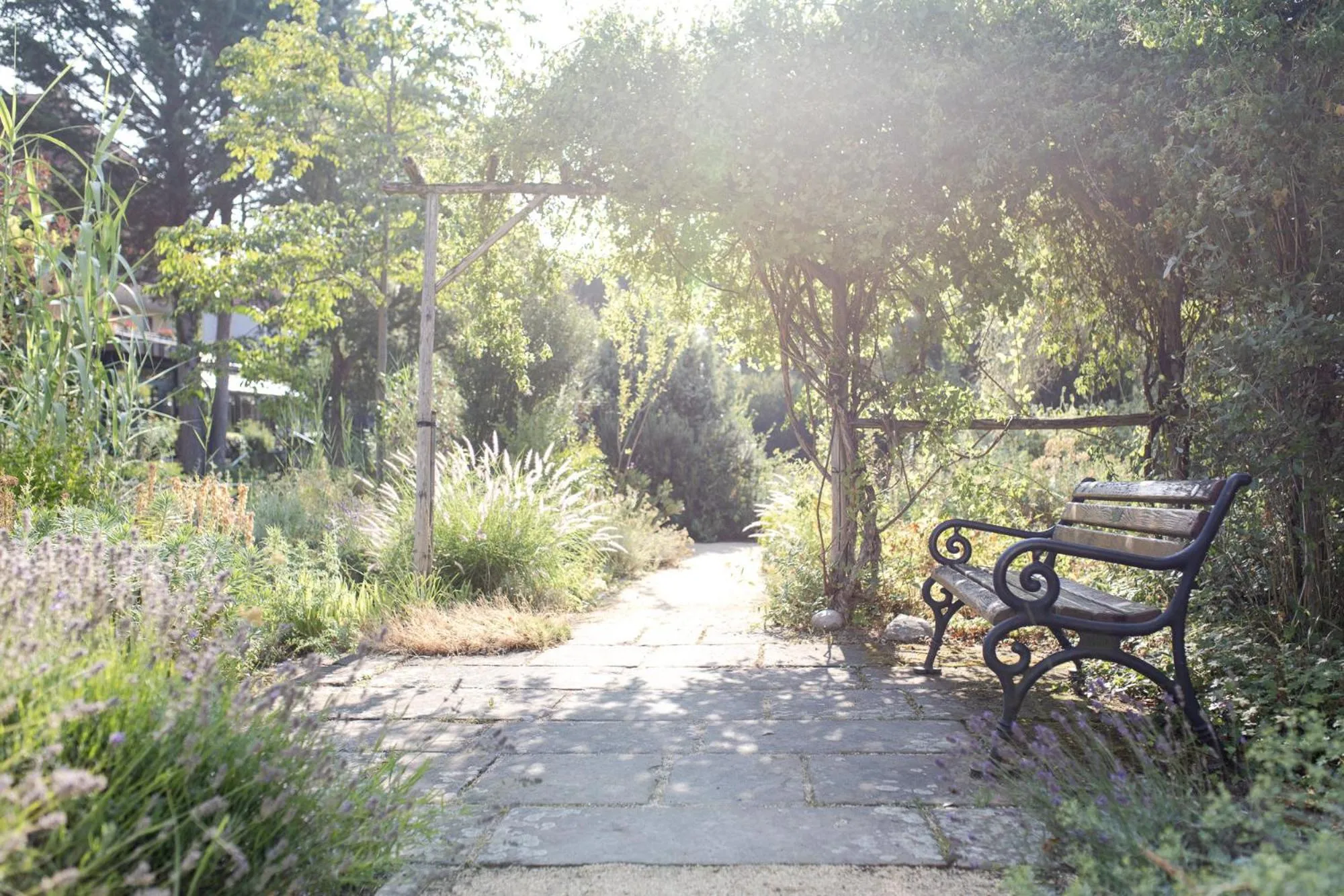 Natural landscape in Hotel-Residenz Immenhof
