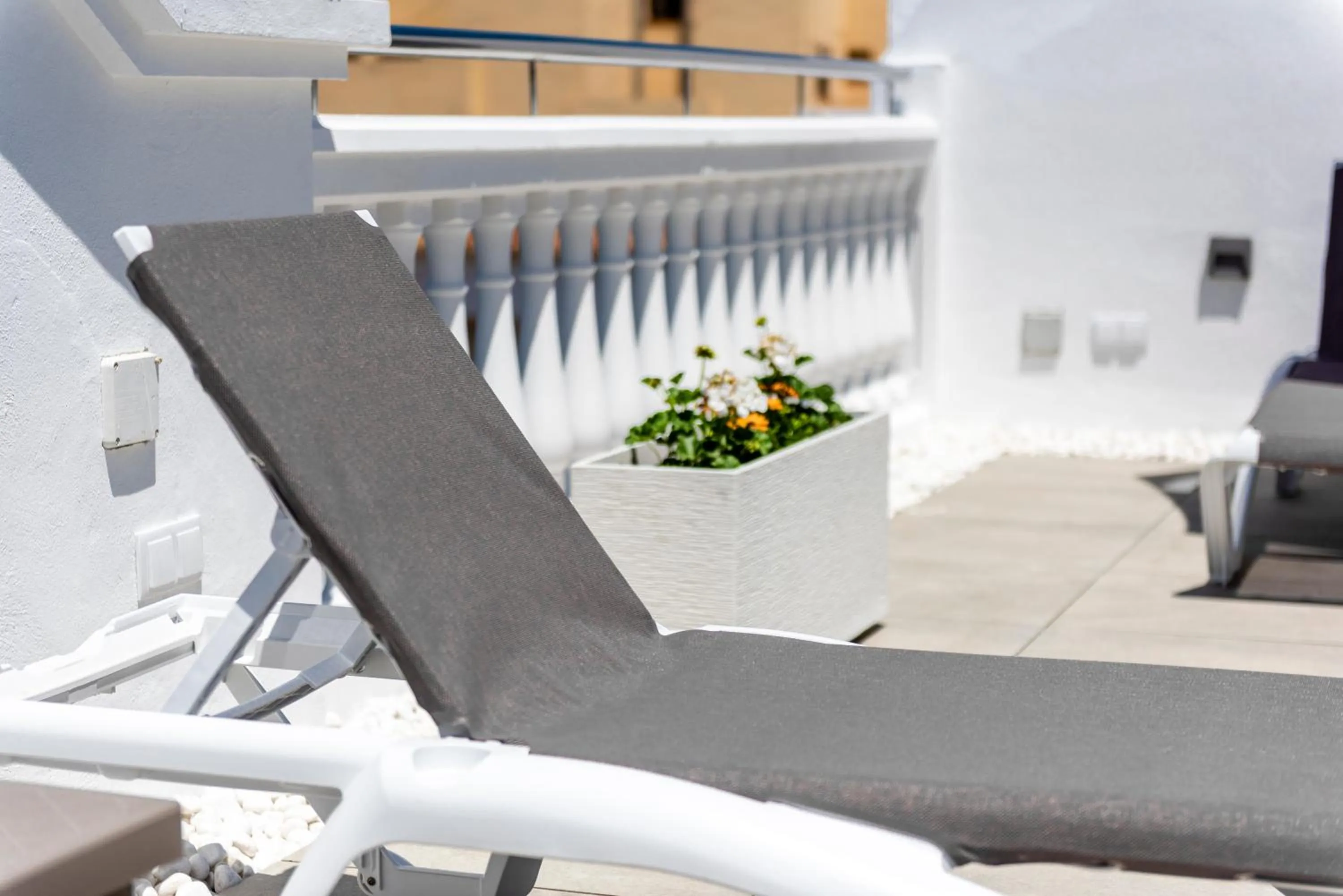 Solarium in Apartamentos Toboso Plaza