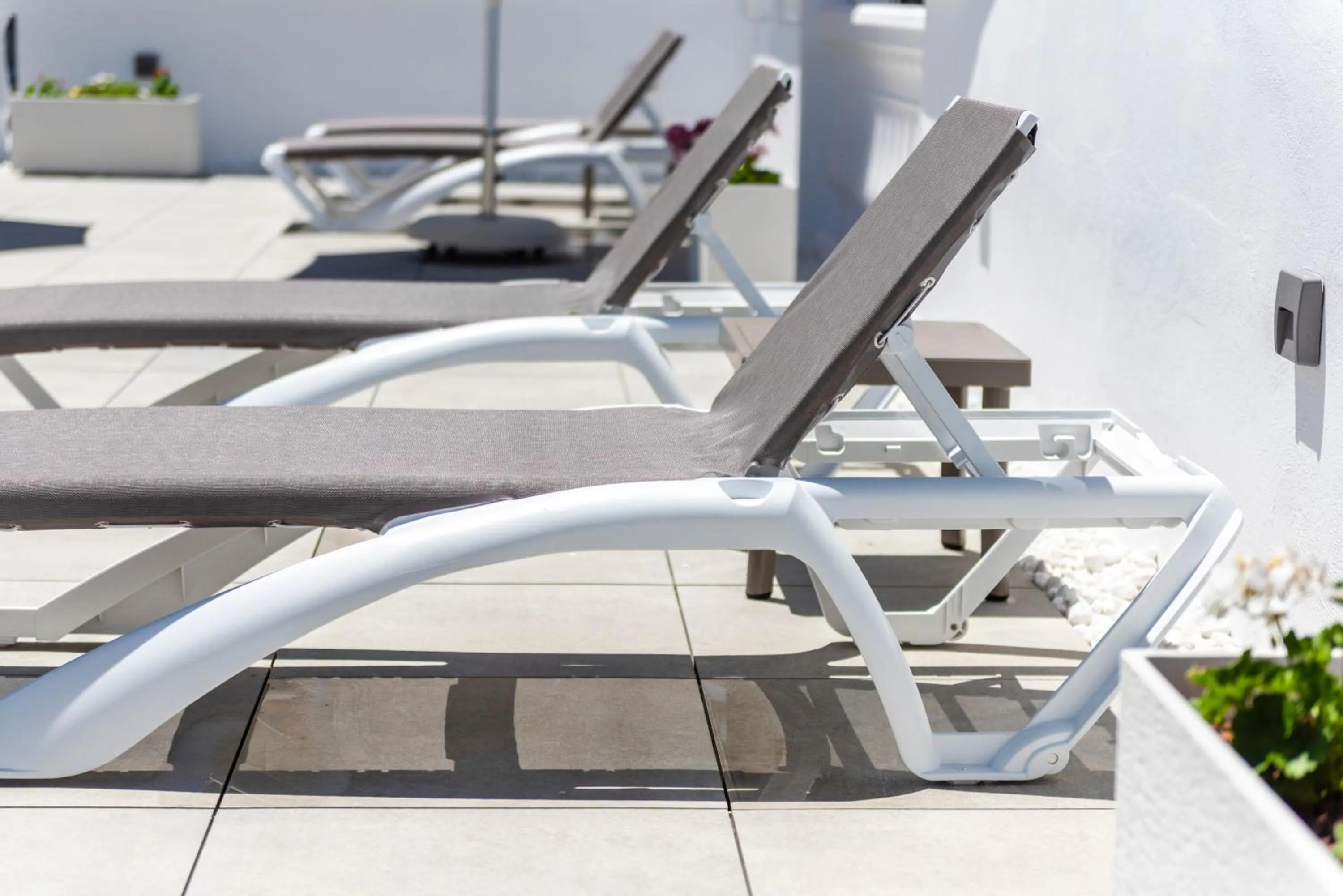 Solarium in Apartamentos Toboso Plaza