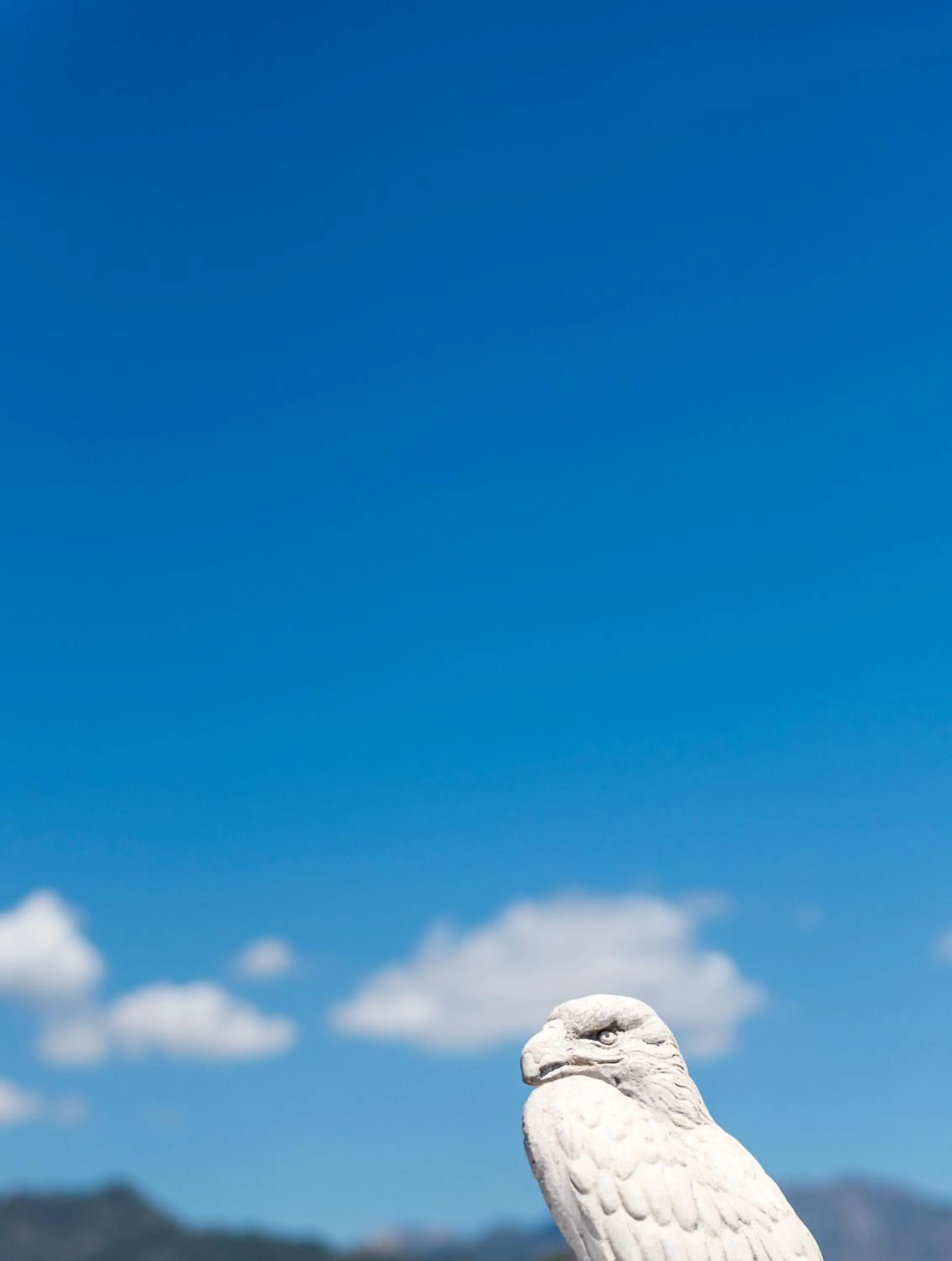 Decorative detail in Apartamentos Toboso Plaza
