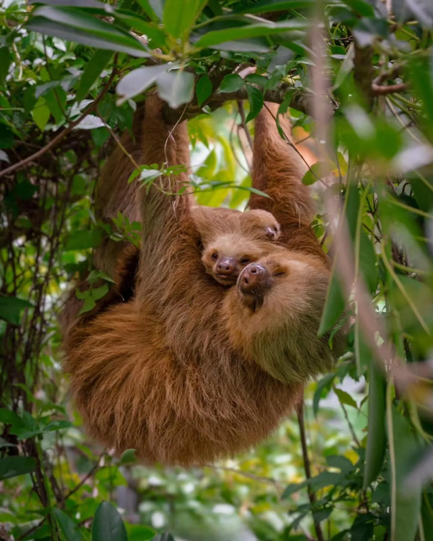 Guests in Makanda by The Sea Hotel Adults Only