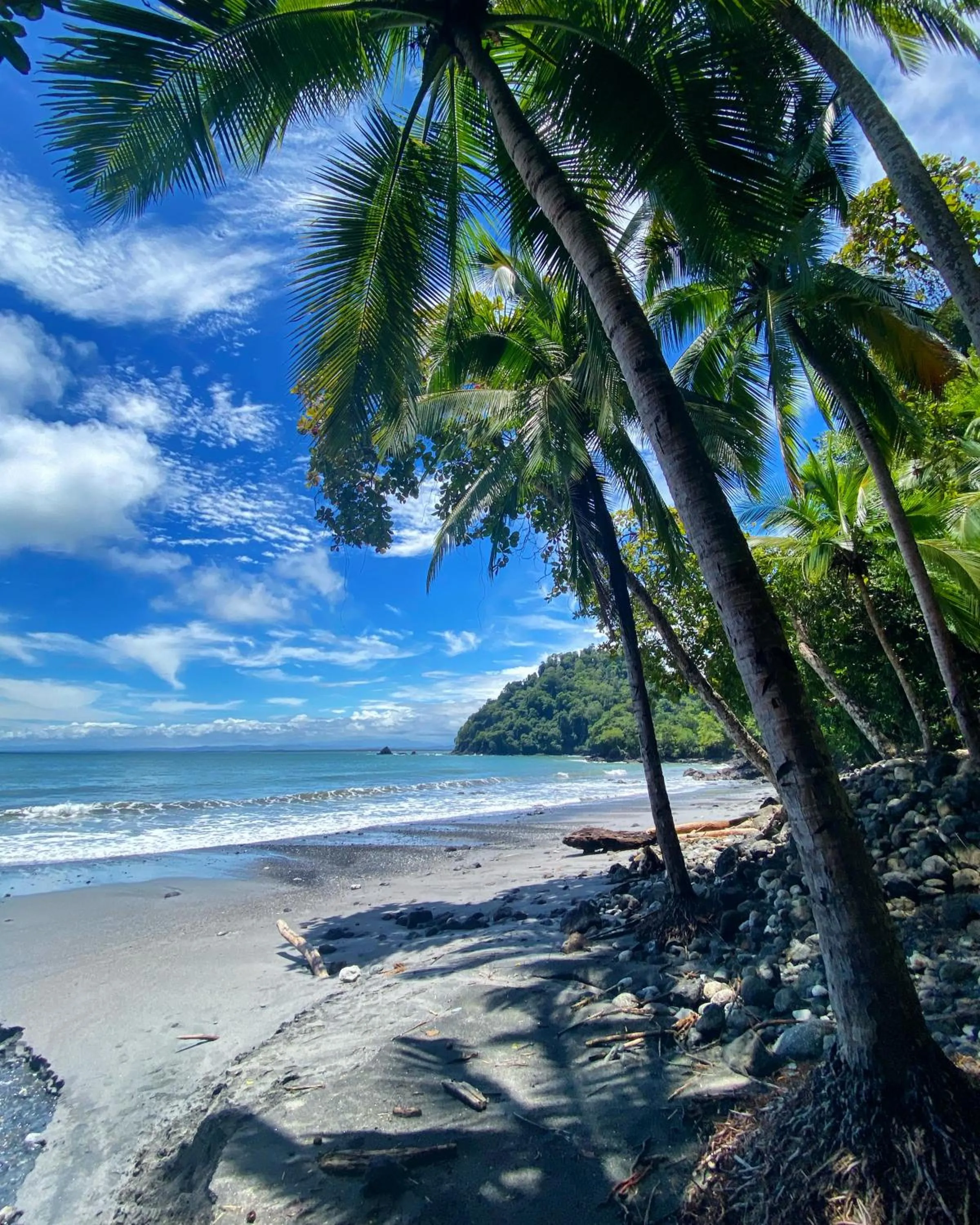Beach in Makanda by The Sea Hotel Adults Only