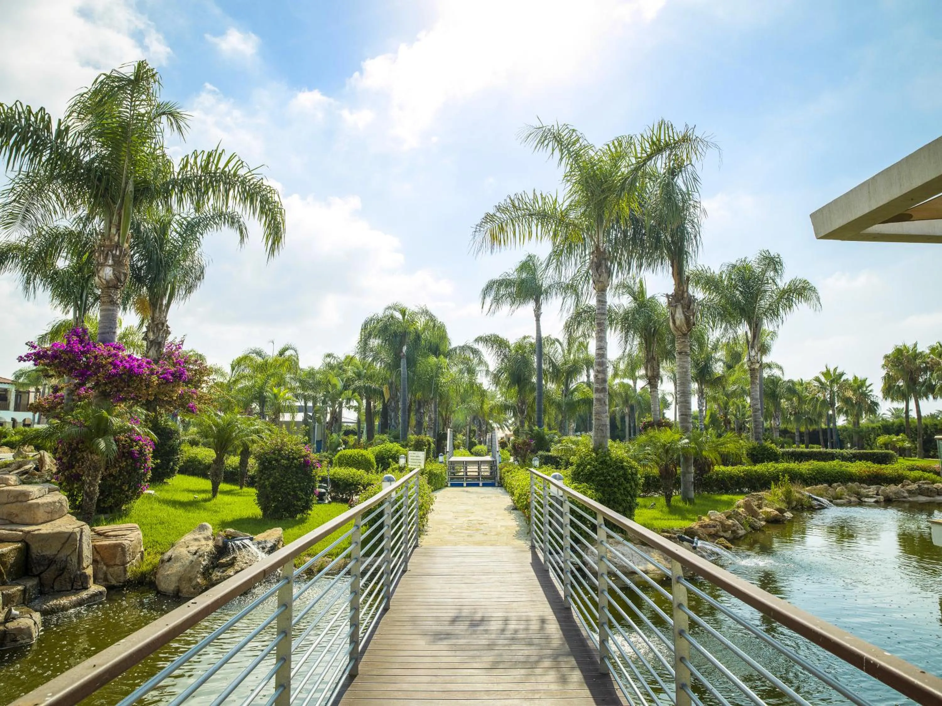 Garden in Olympic Lagoon Resort Ayia Napa