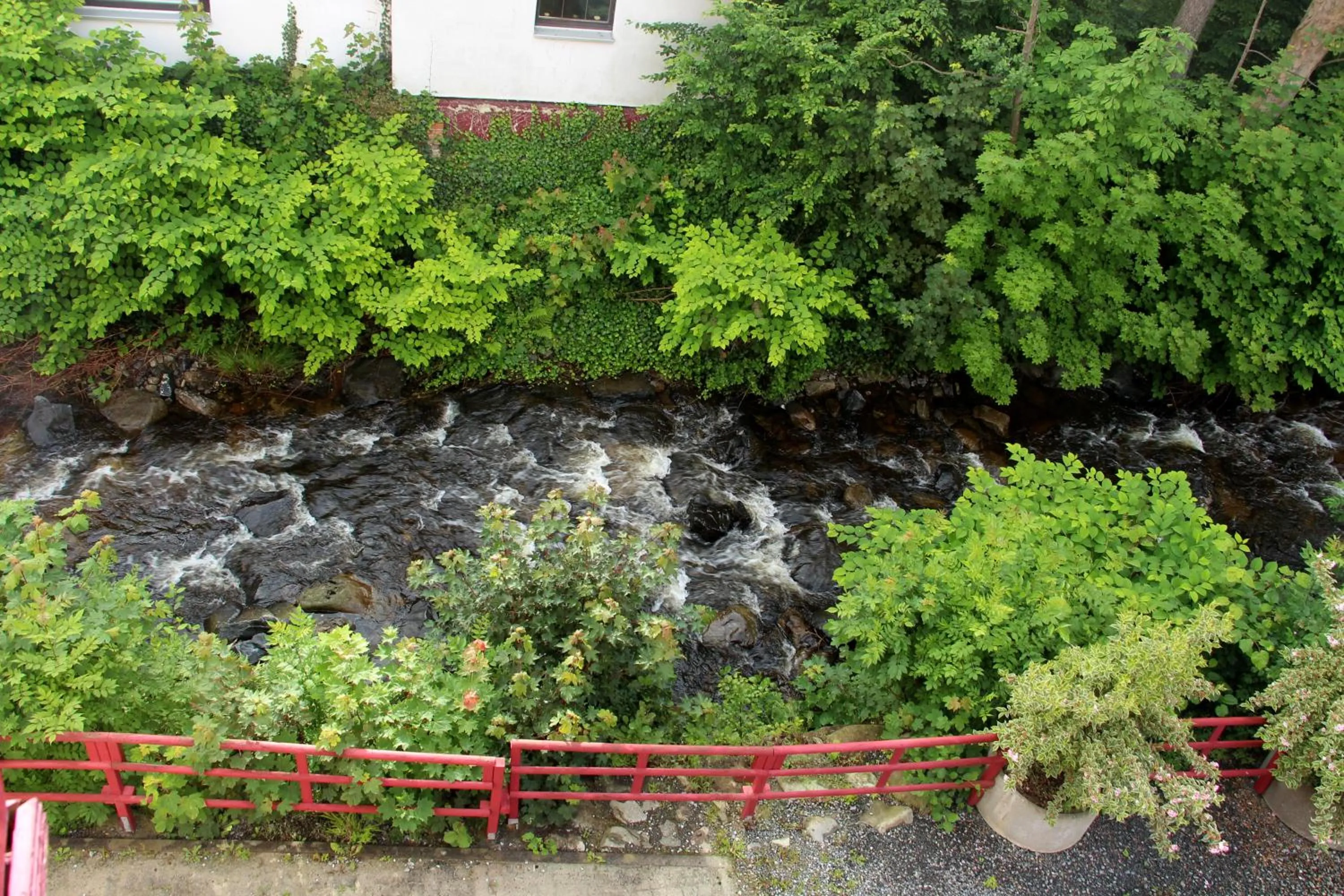 River view in REGIOHOTEL Germania Bad Harzburg - #DirektAmKurpark #Wellnessbereich #Frühstücksbuffet #FreeParking