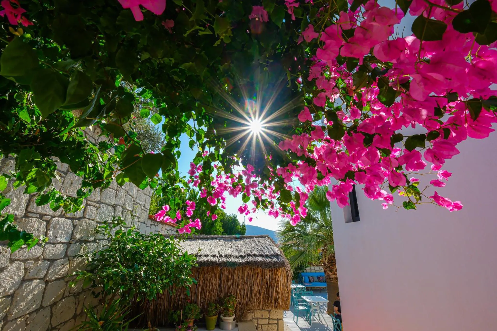 Garden in Kybele Alaçatı