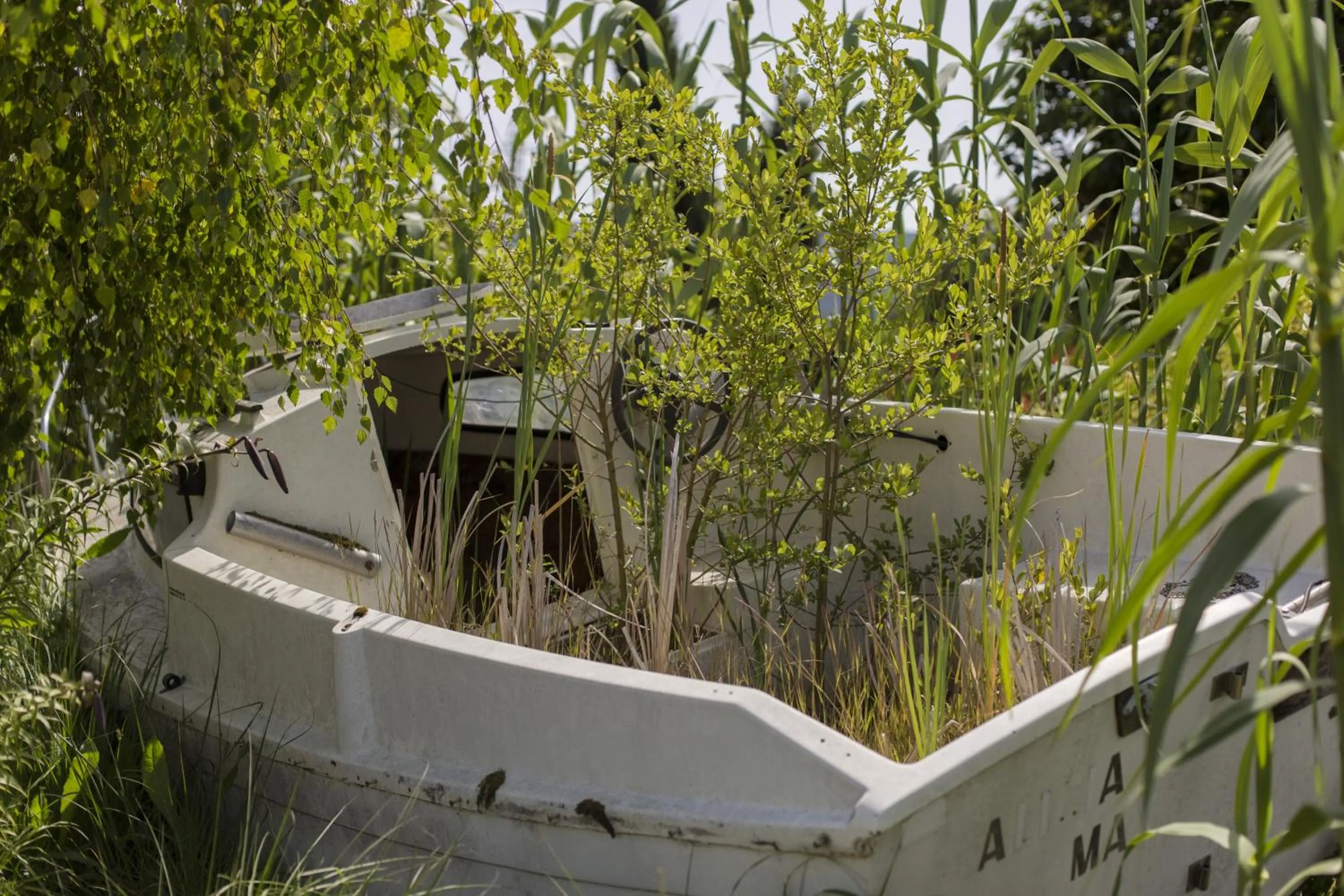 ibis budget Cabourg Dives sur Mer