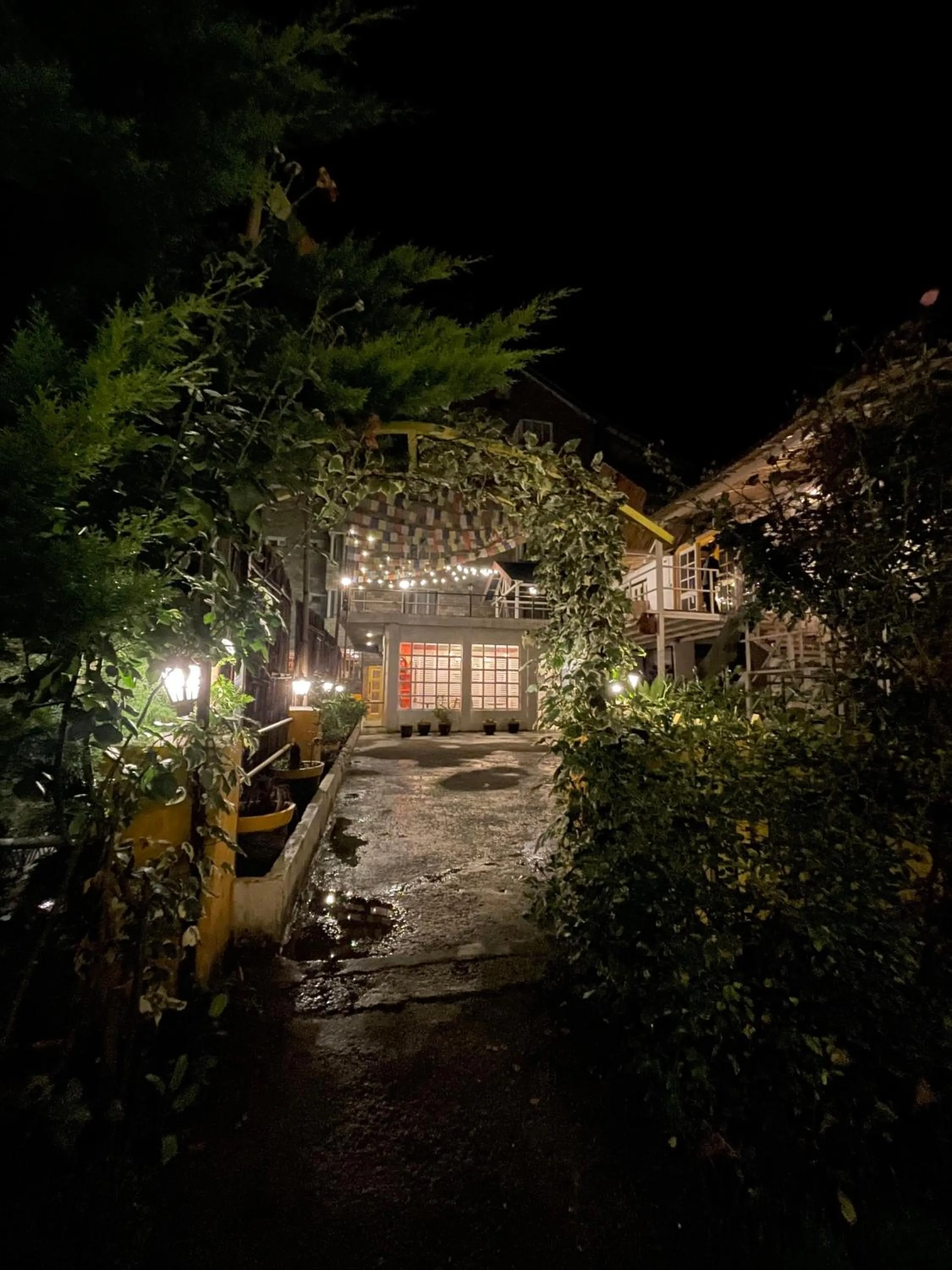The Village Manali- Café, Bar & Bistro