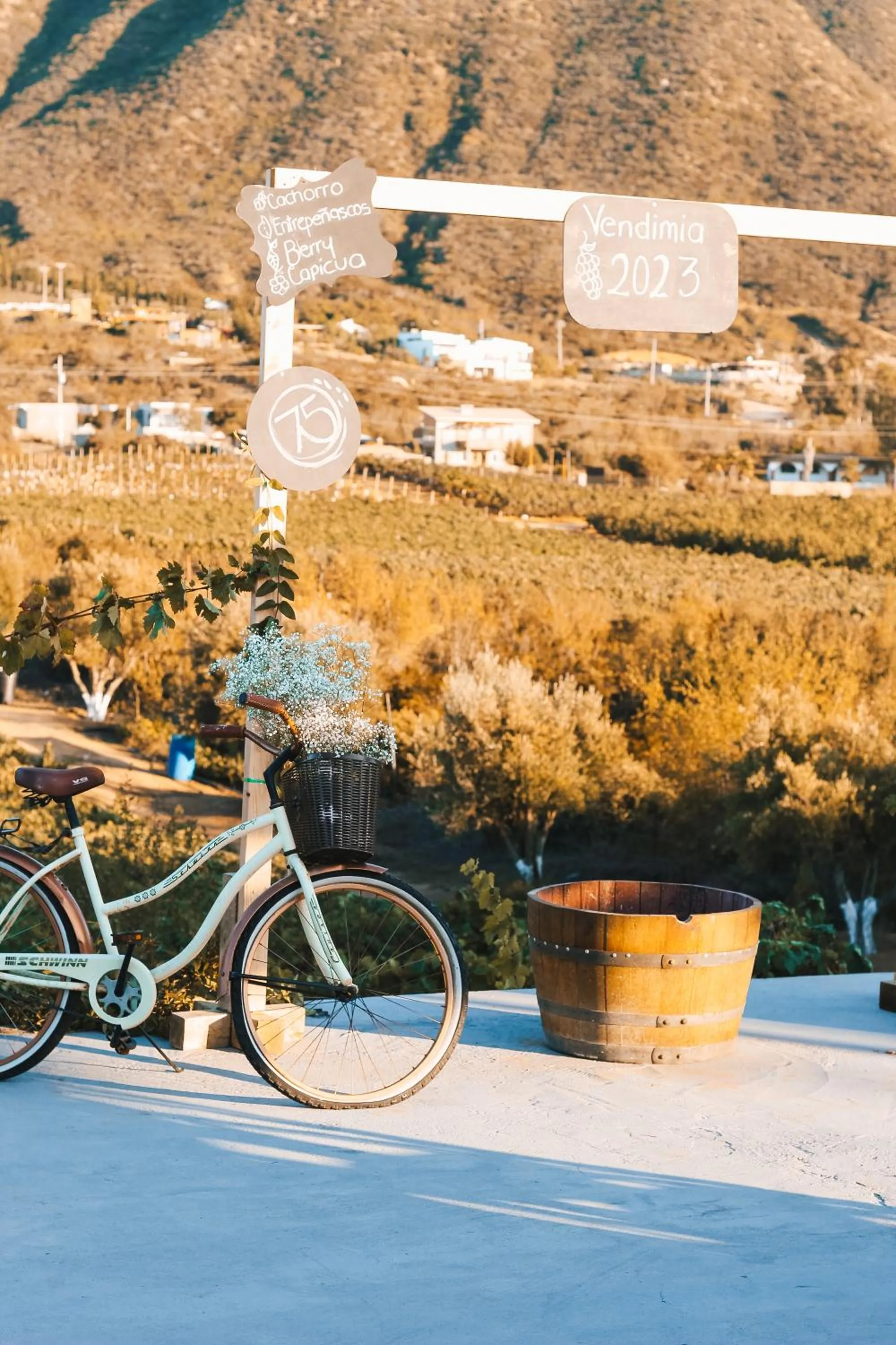 wedding in Origen75 Loft - Villas - Skypool - Viñedo, Valle de Guadalupe