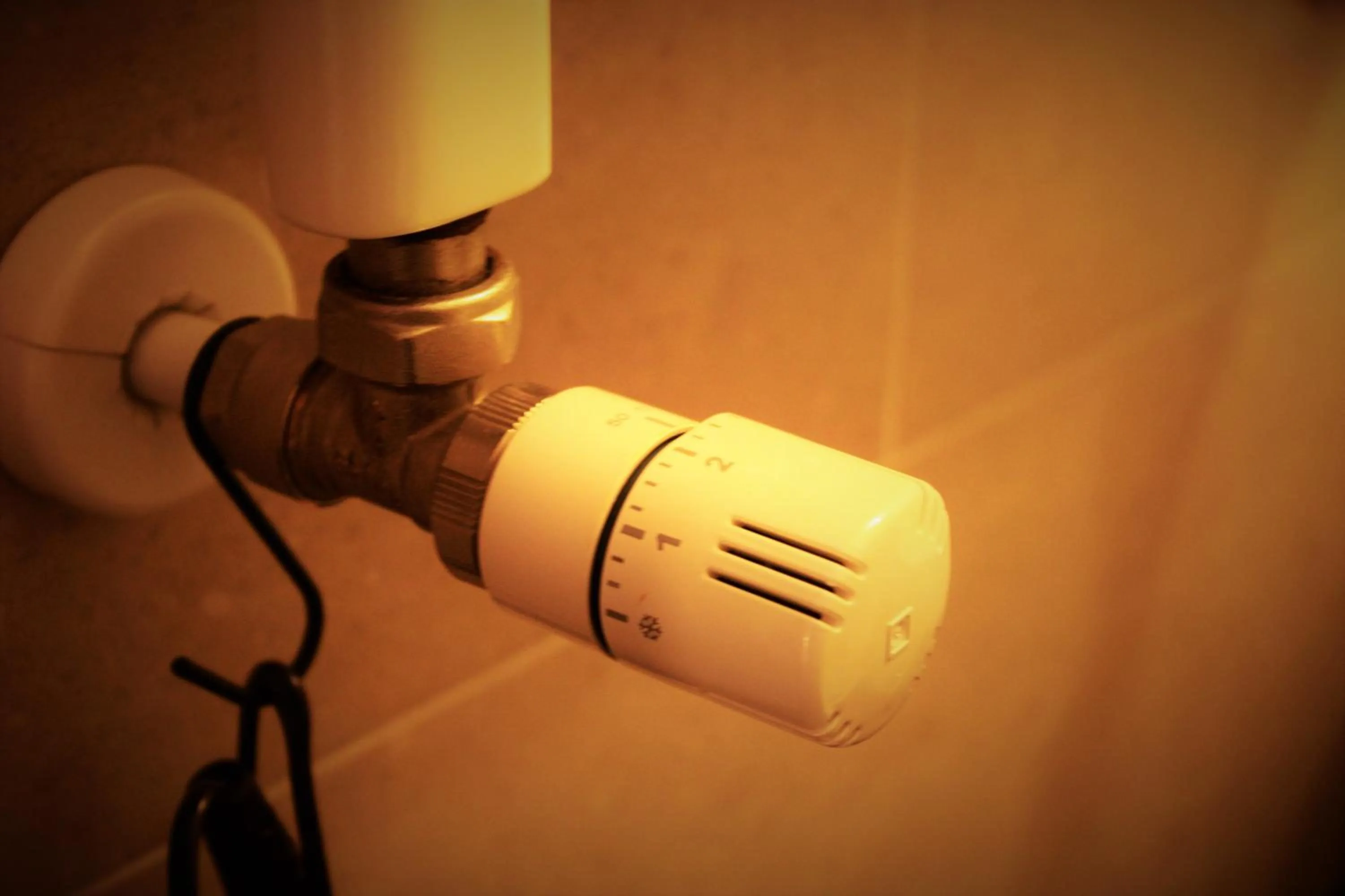 Bathroom in Olympic Mountains