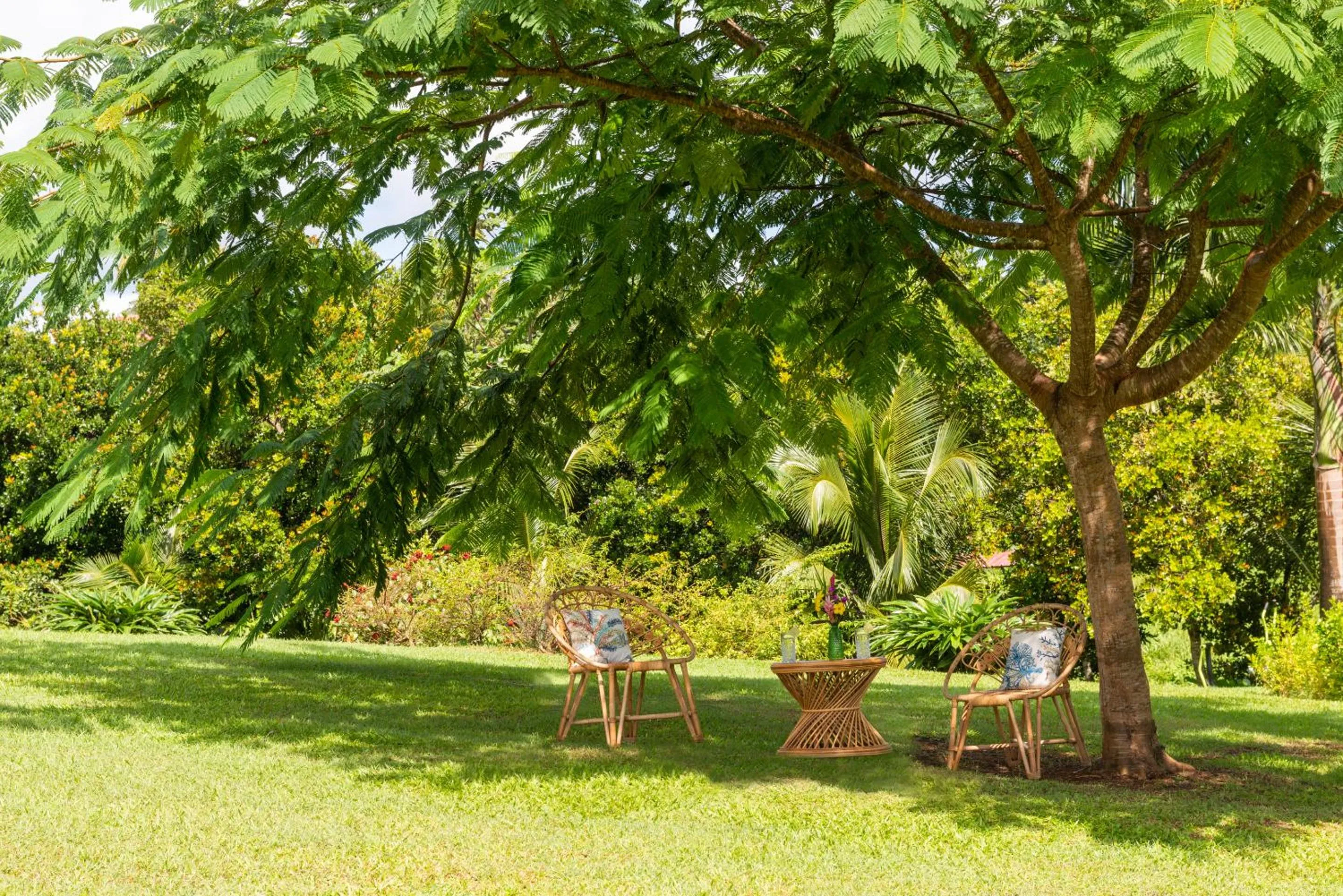 Garden in Villa Saint Jean - Habitation Saint Charles