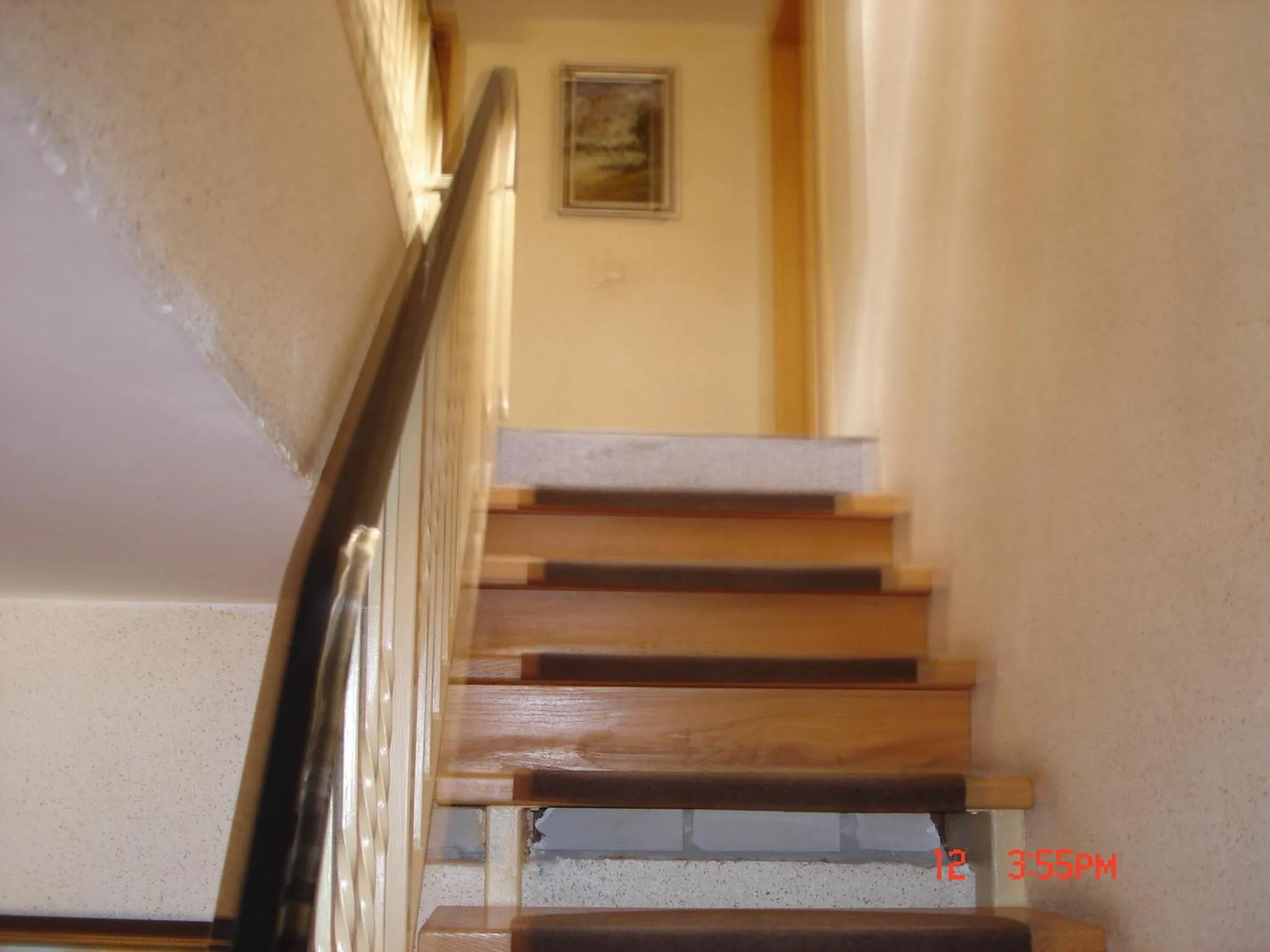 View (from property/room) in Pension zum Schwanenteich