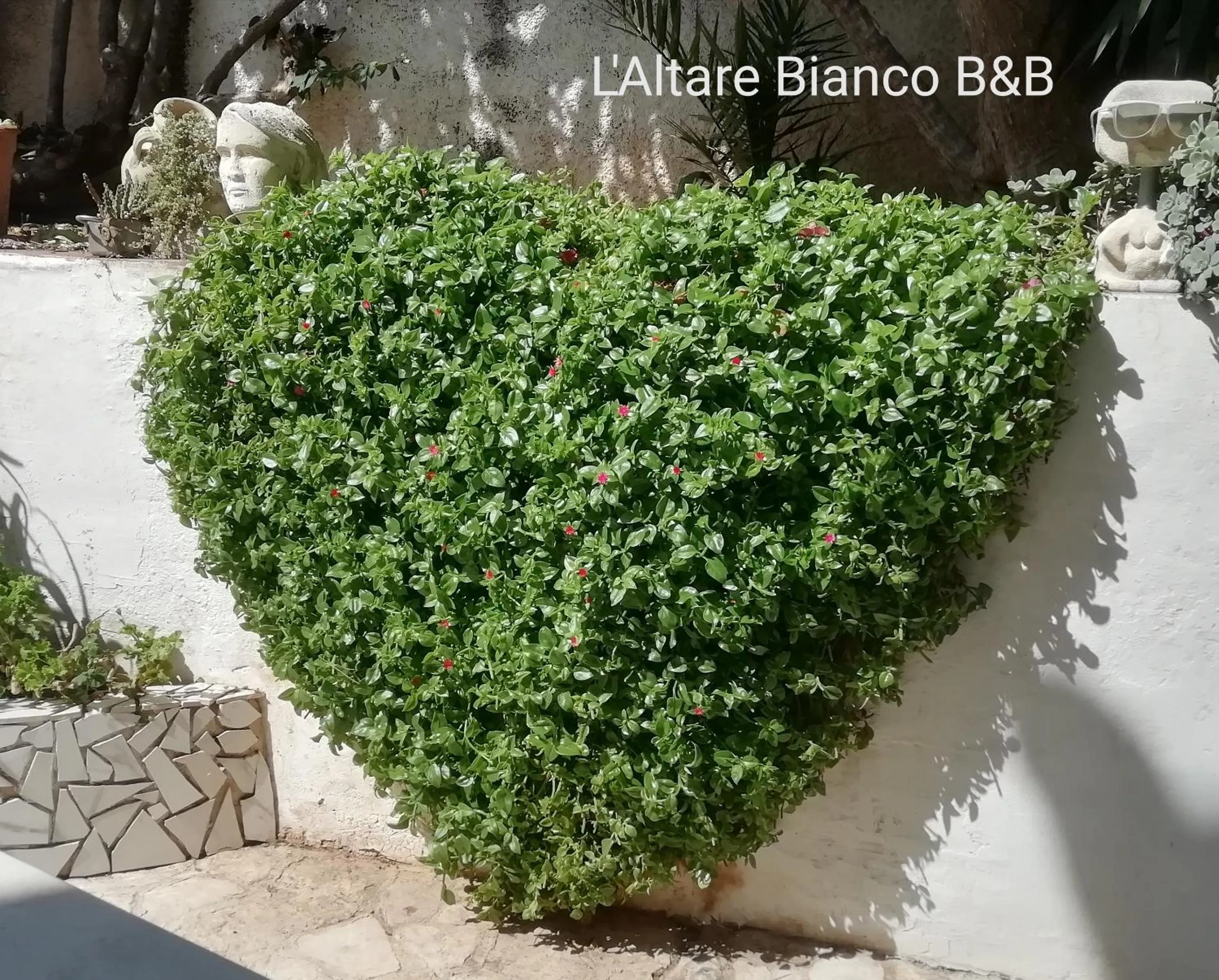Garden in B&B L'Altare Bianco