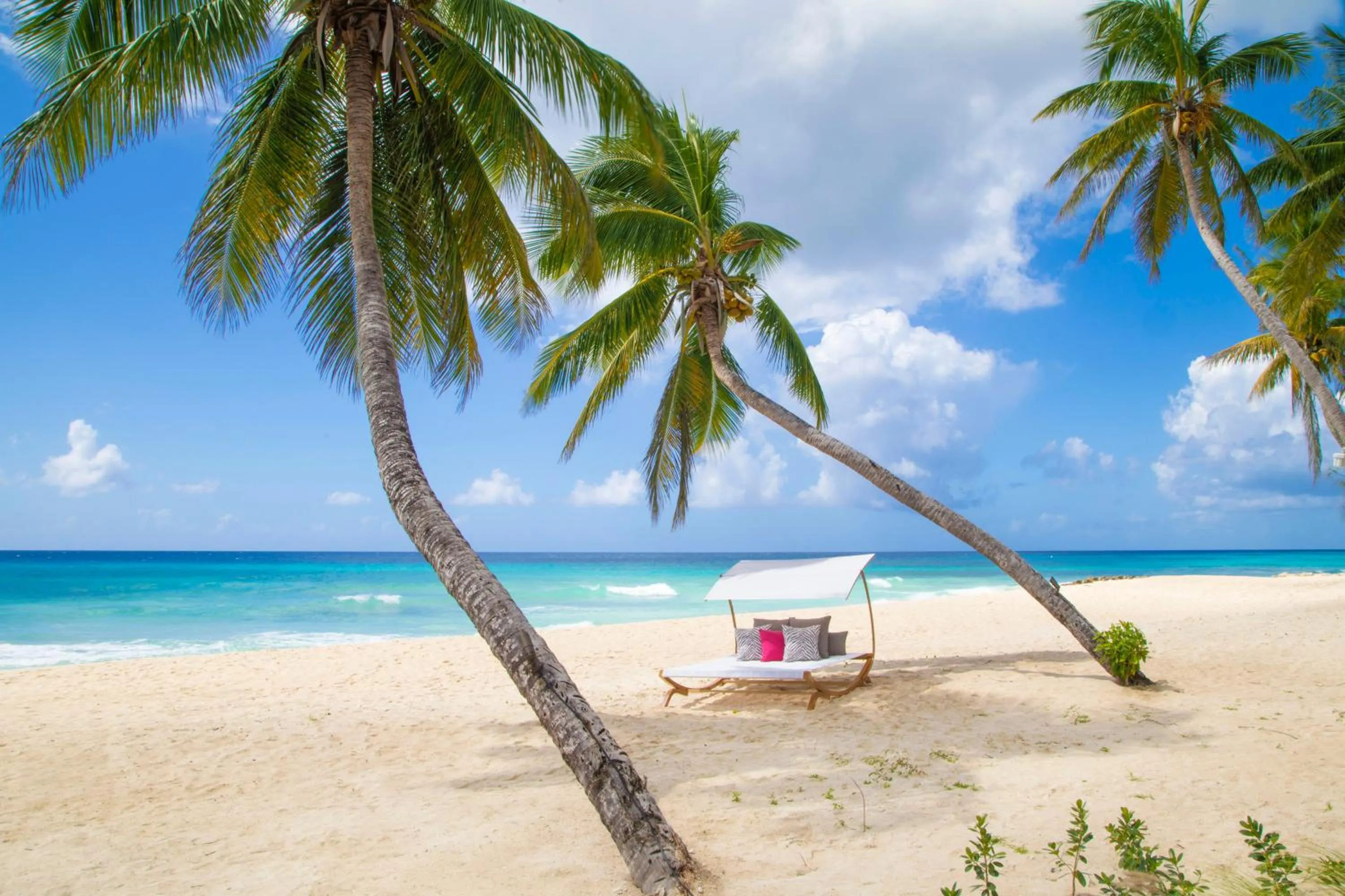 Beach in O2 Beach Club & Spa All Inclusive by Ocean Hotels