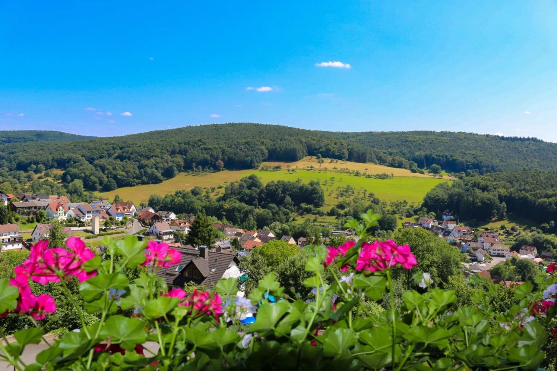 Natural landscape in PANORAMA Hotel Heimbuchenthal