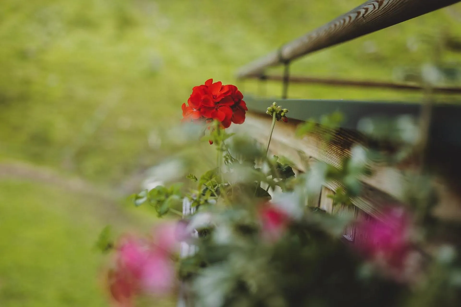 Balcony/Terrace in Wieshofgut