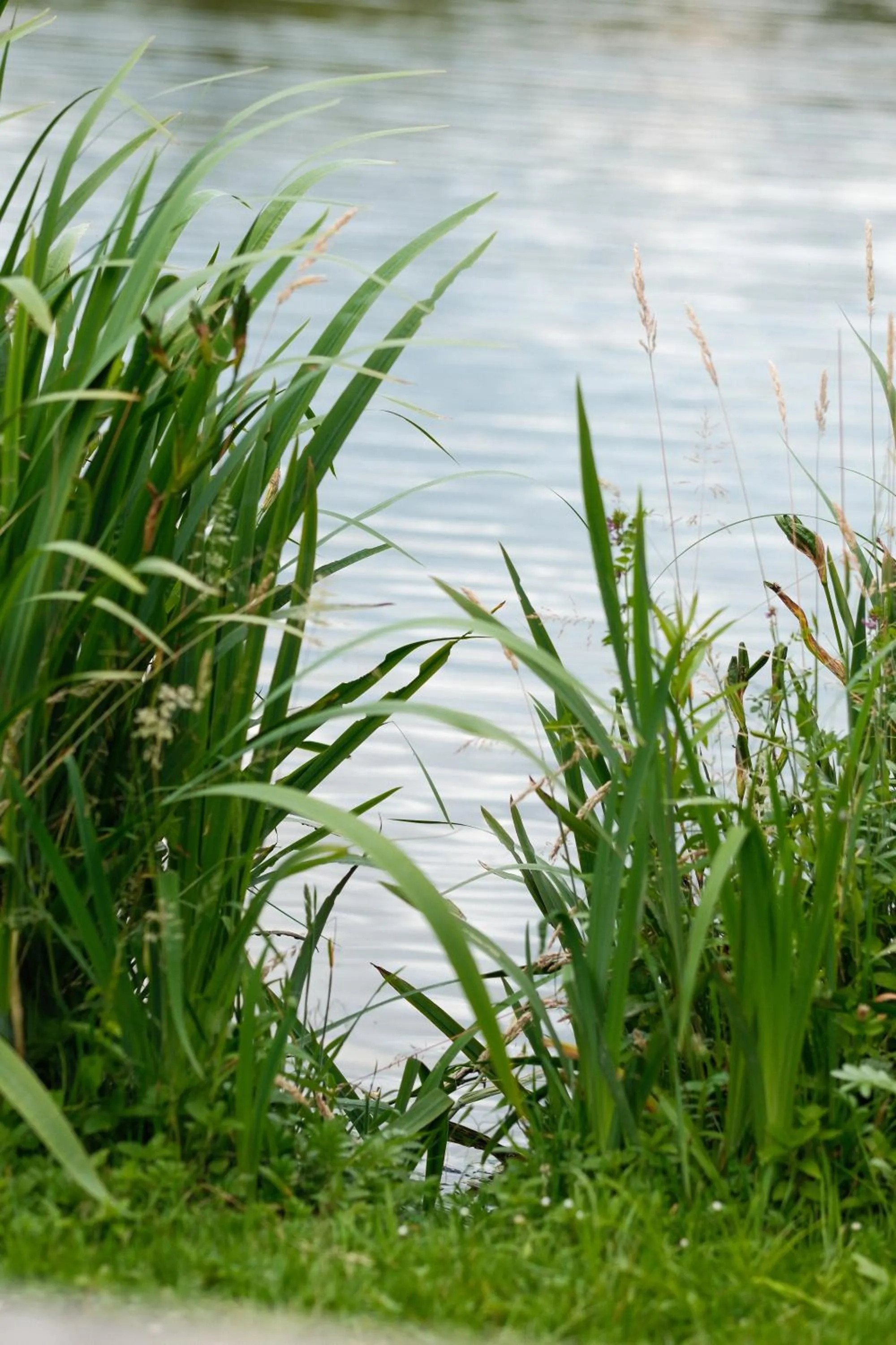 Spring in Hotel-Restaurant Kreuzberghof Tagungs- und Veranstaltungshotel