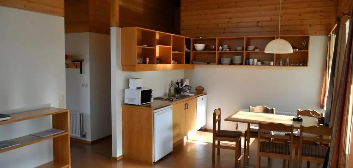 Kitchen or kitchenette in Kaffi Holar Cottages and Apartments