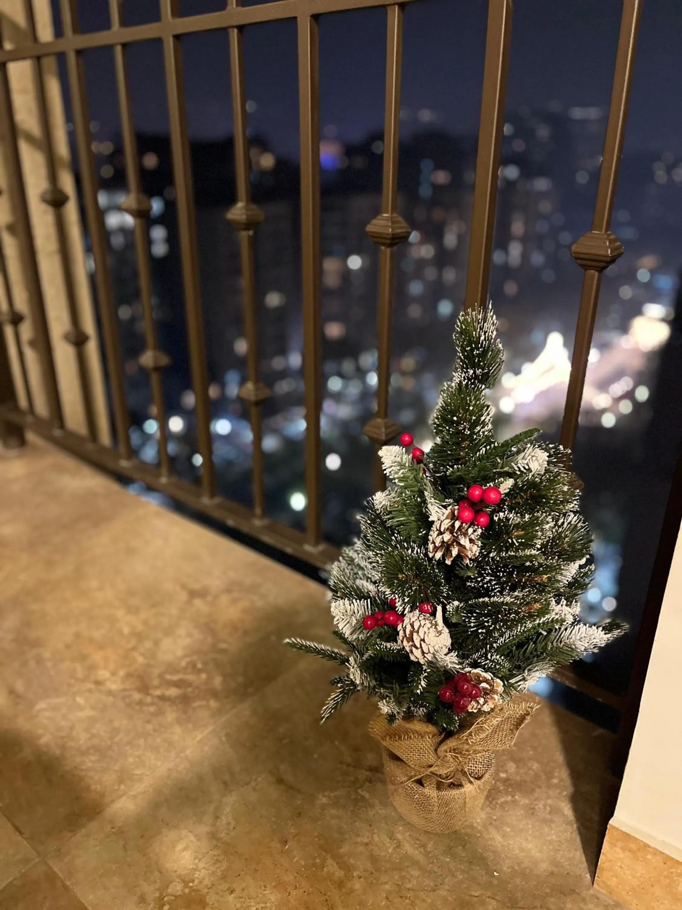 Balcony/Terrace in Rooftop Apart-Hotel