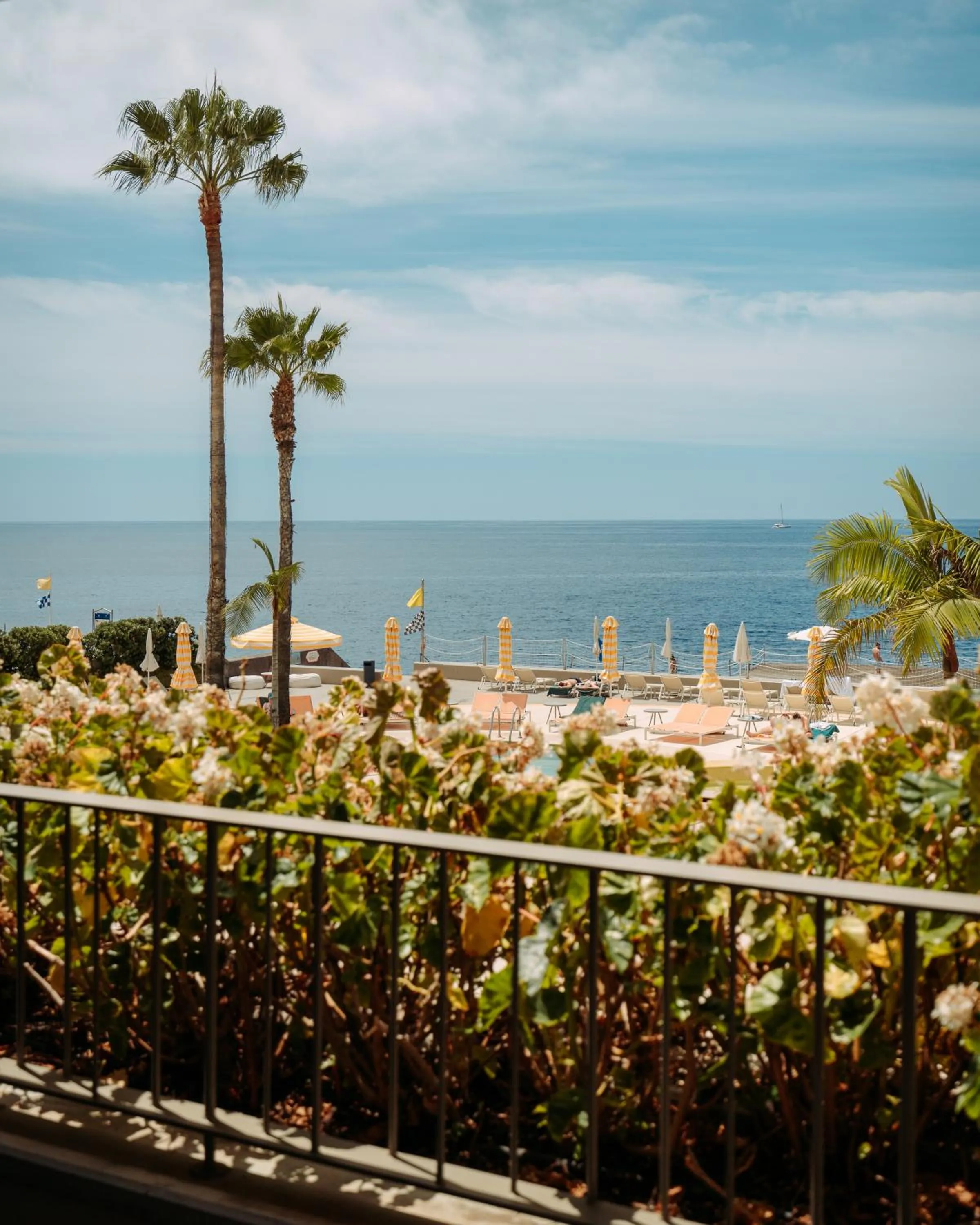 Day in NEXT - by Savoy Signature