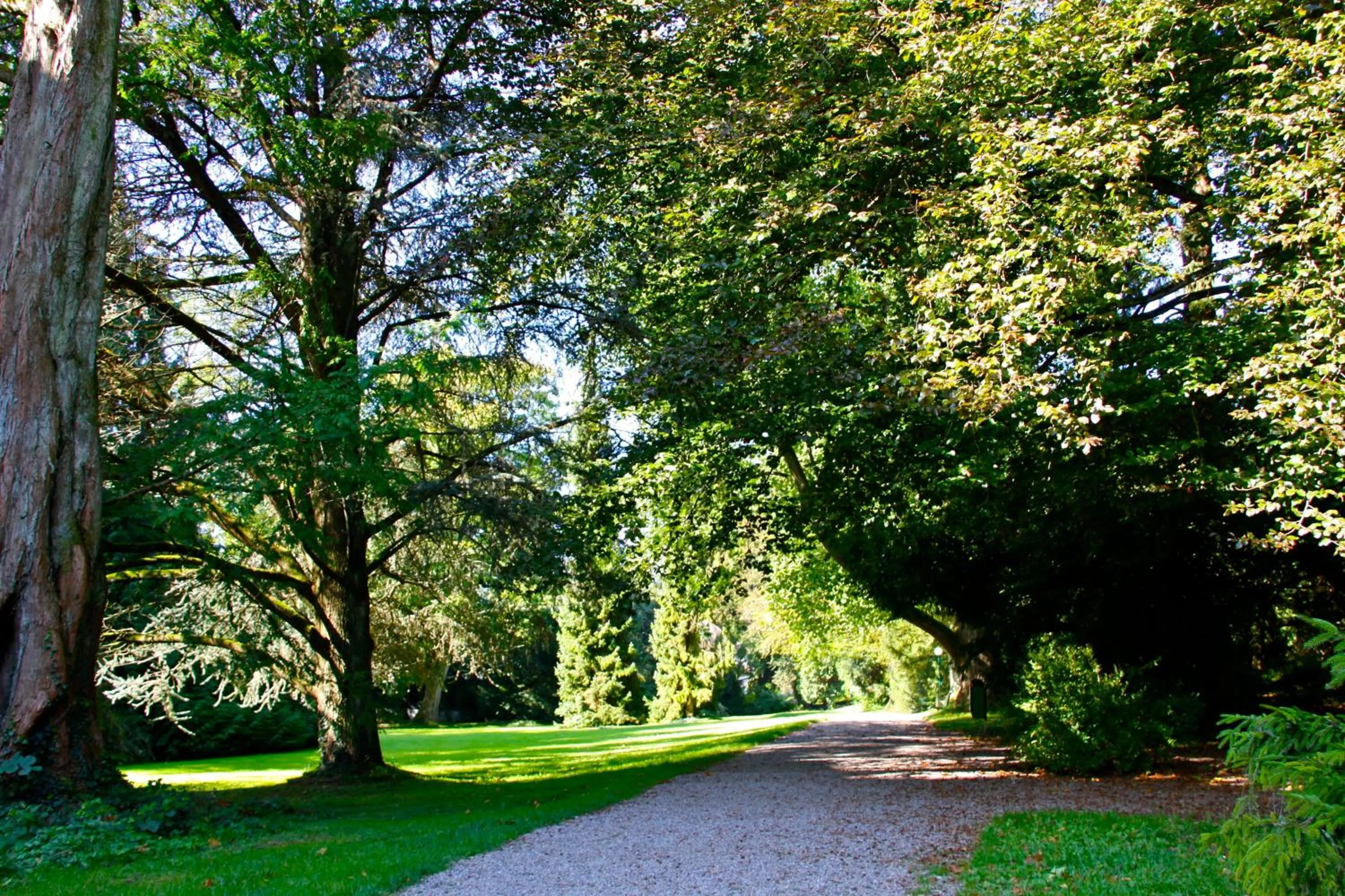 Garden in Hotel Bad Schachen