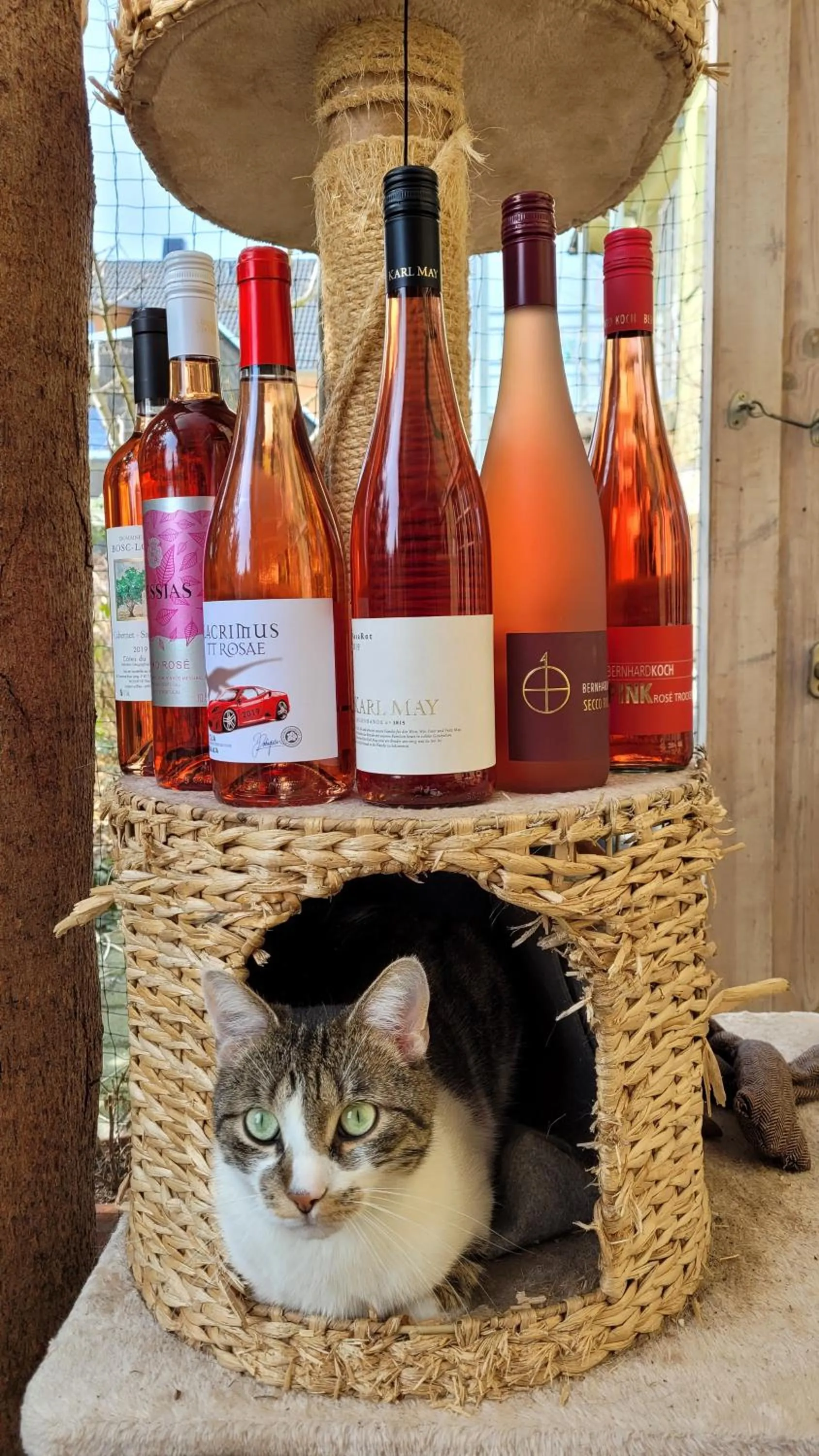 Wein-Hotel Auberge Mistral