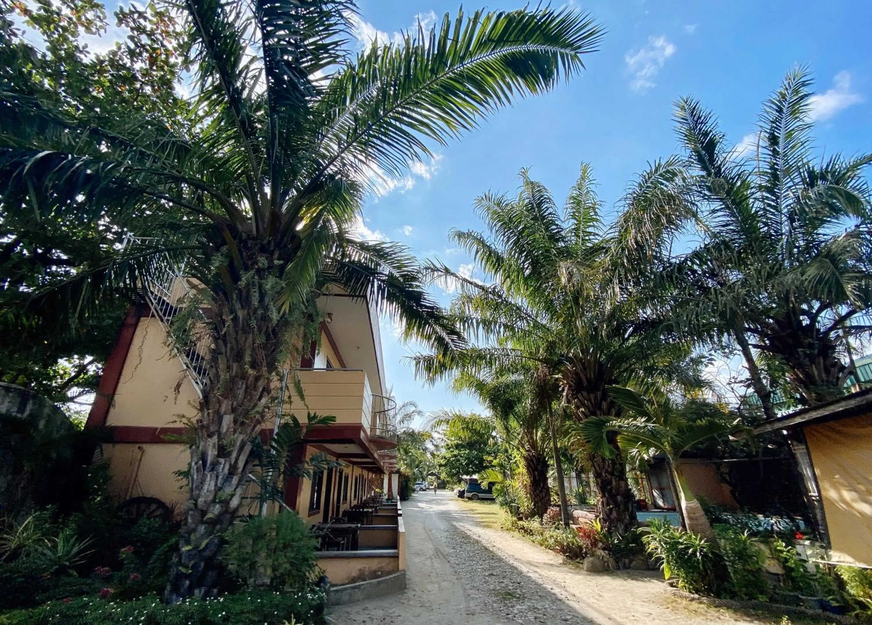 Garden view in RedDoorz Hostel at Megans Paradisio Beach Resort