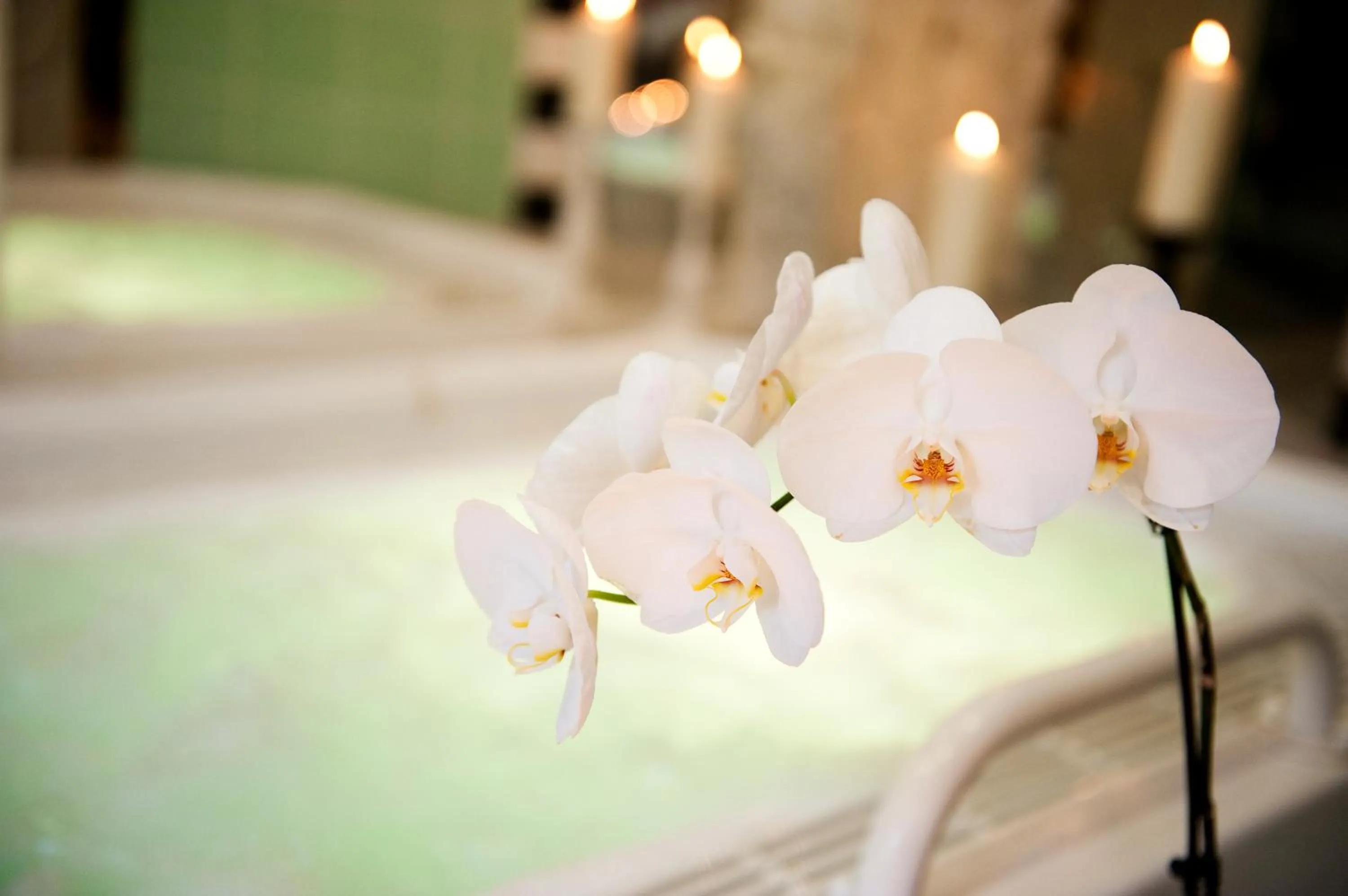 Spa and wellness centre/facilities in Ringhotel VITALHOTEL ambiente