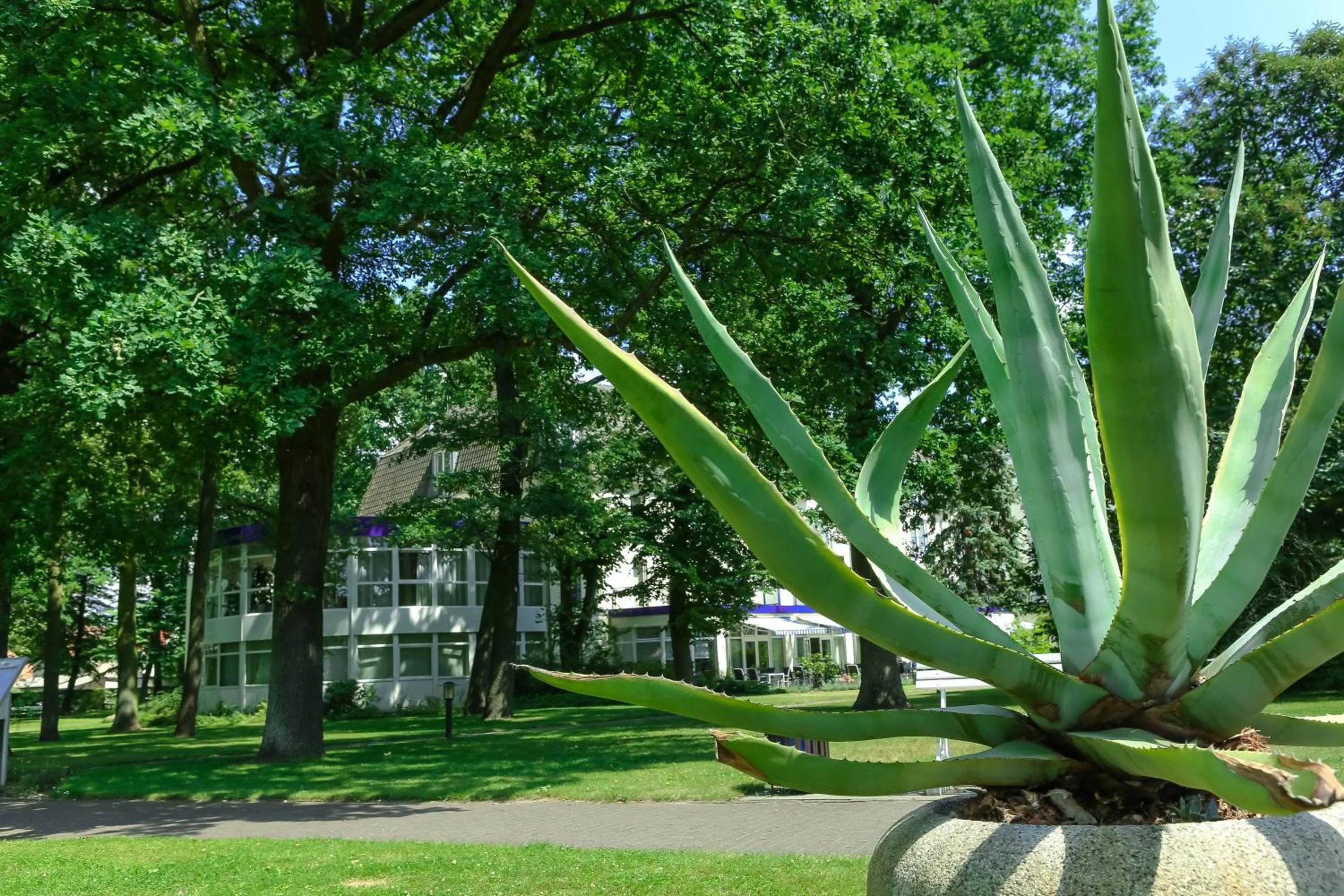 Garden in Ringhotel VITALHOTEL ambiente
