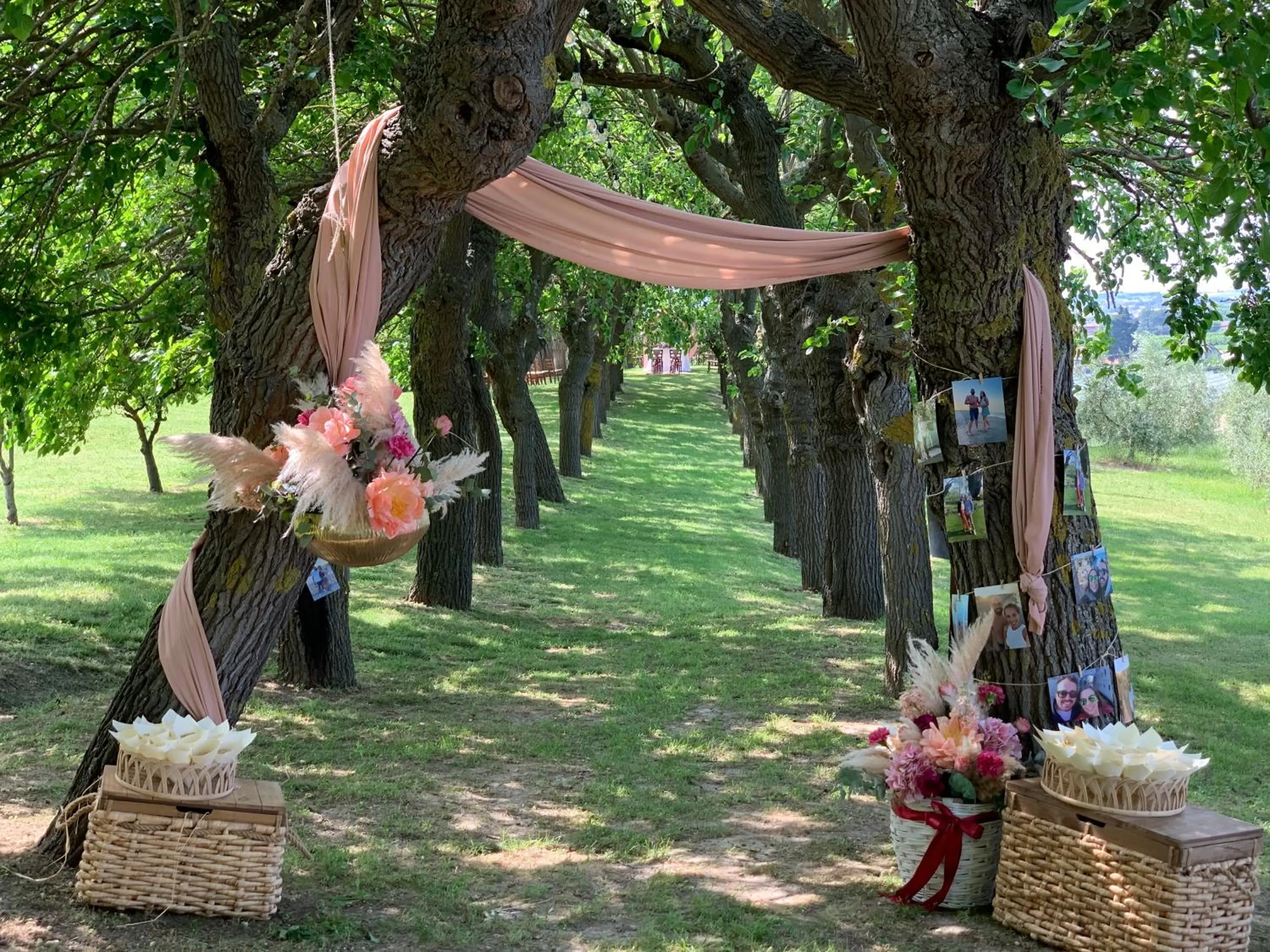 Natural landscape in Collina dei Poeti