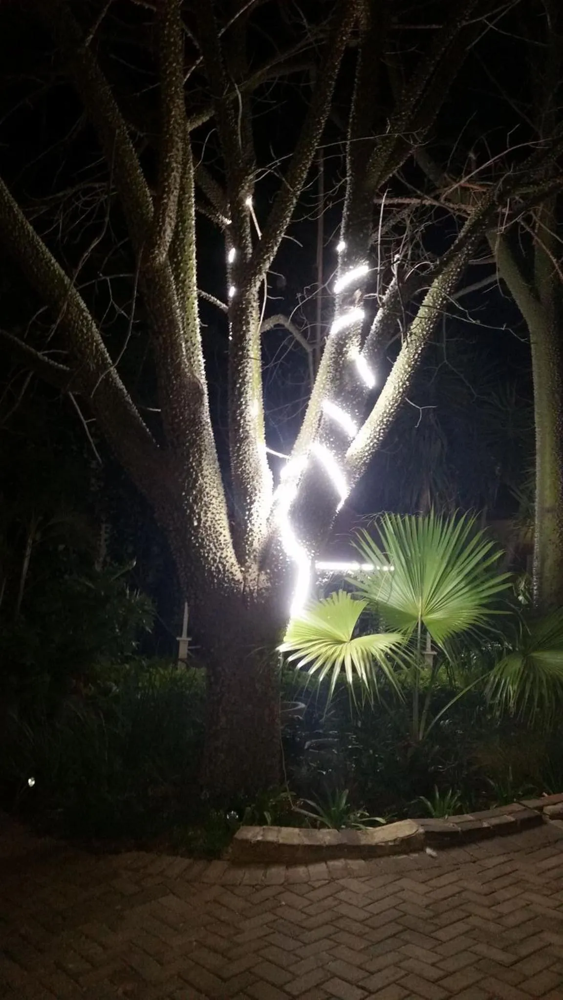 Country Blue Luxury Guest House