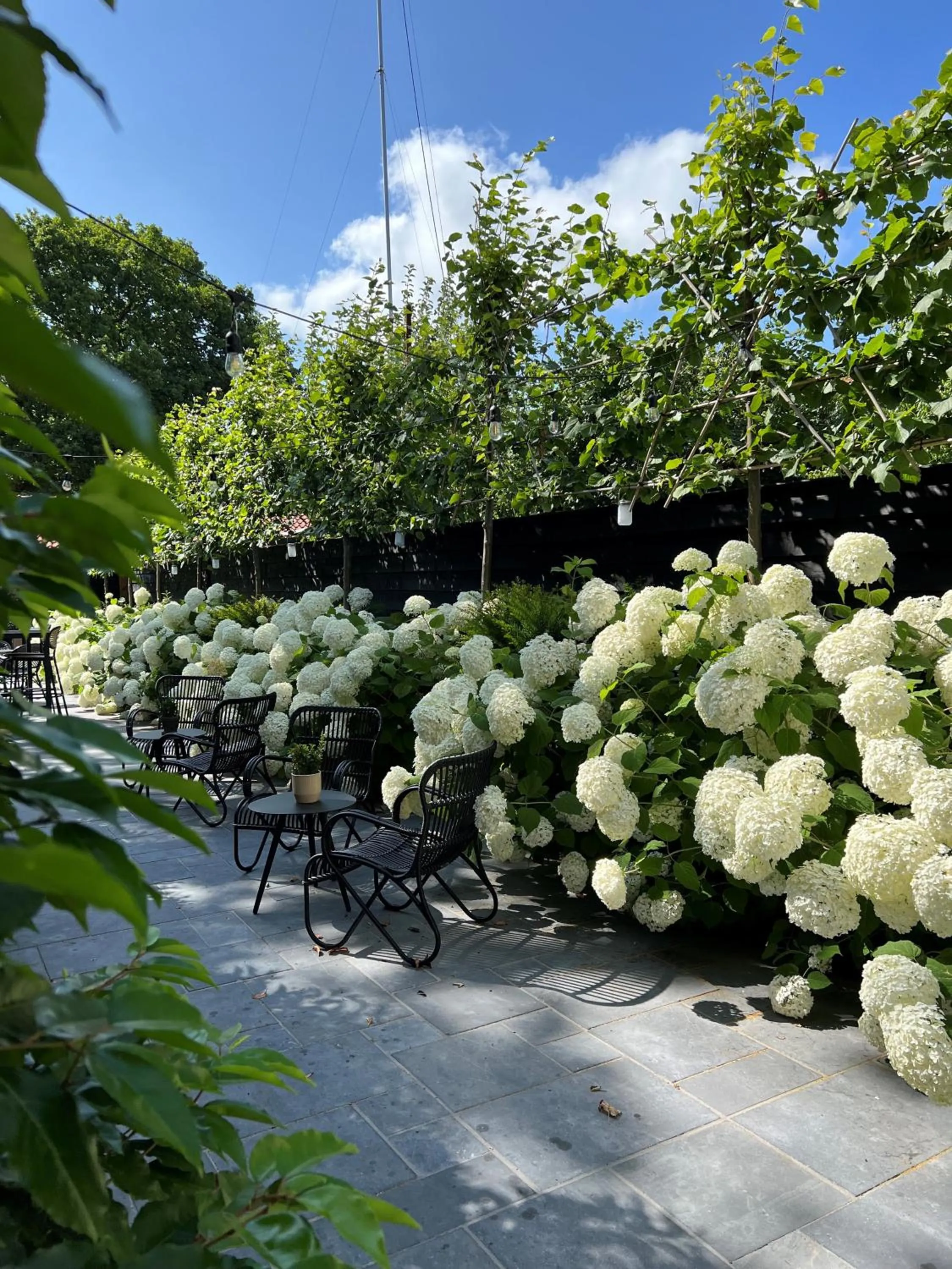 Garden in Poorter Boutique Hotel Brielle