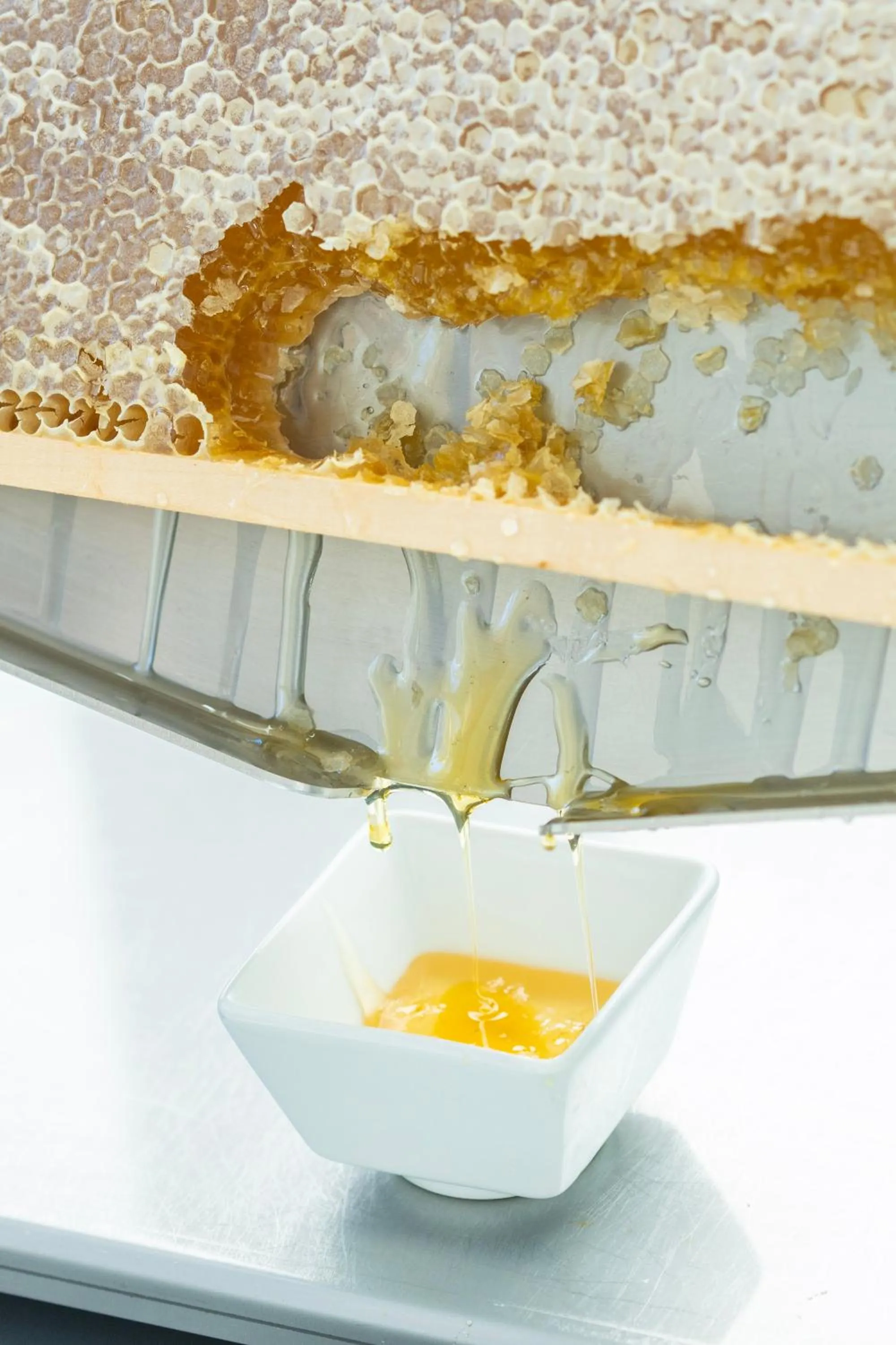 Breakfast in 1552 Boutique Hotel