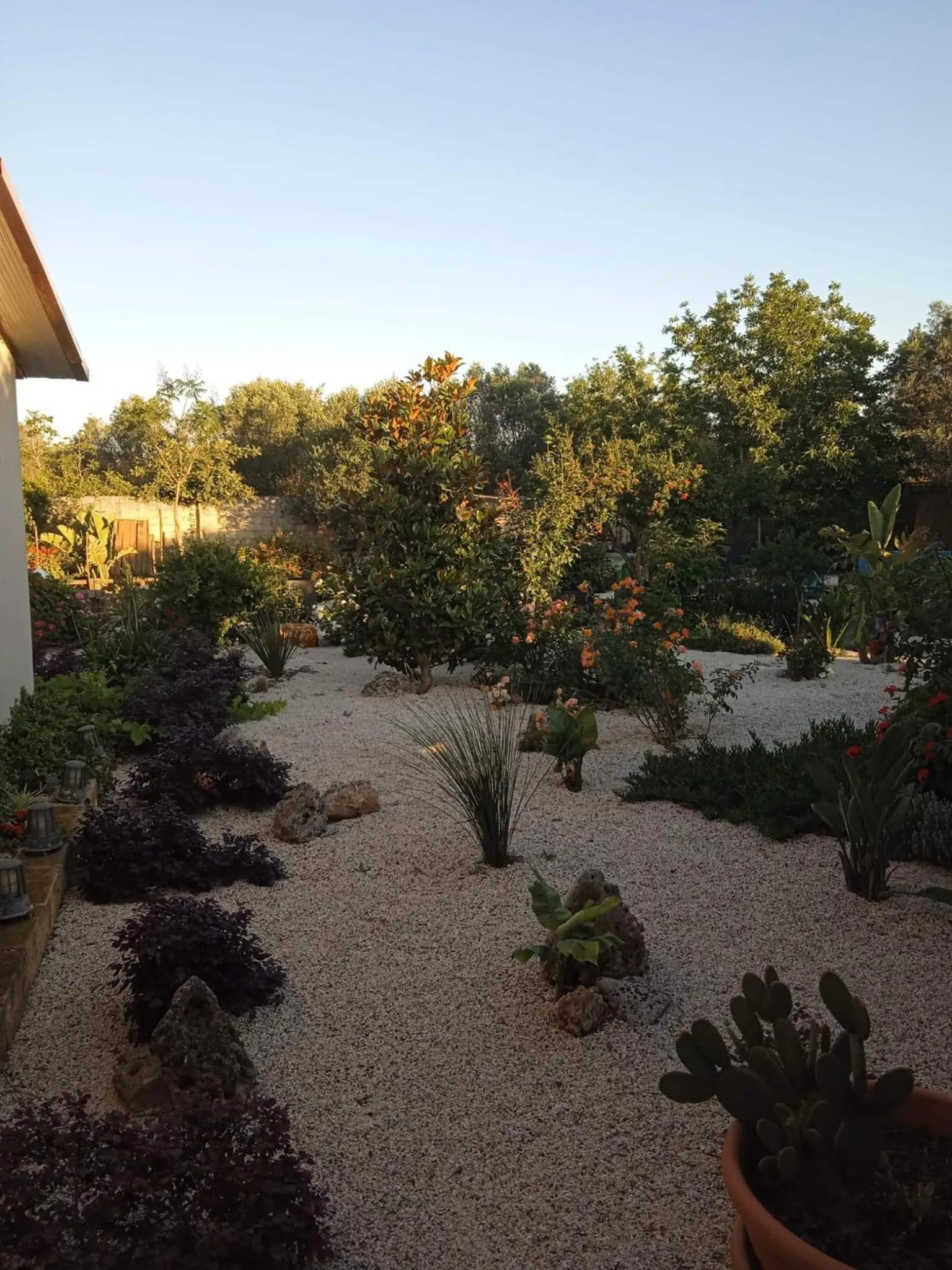 Garden in B&B Le Carrube