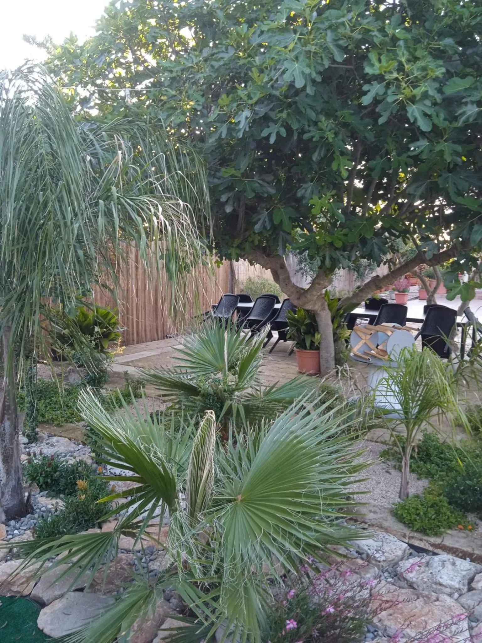 Garden in B&B Le Carrube