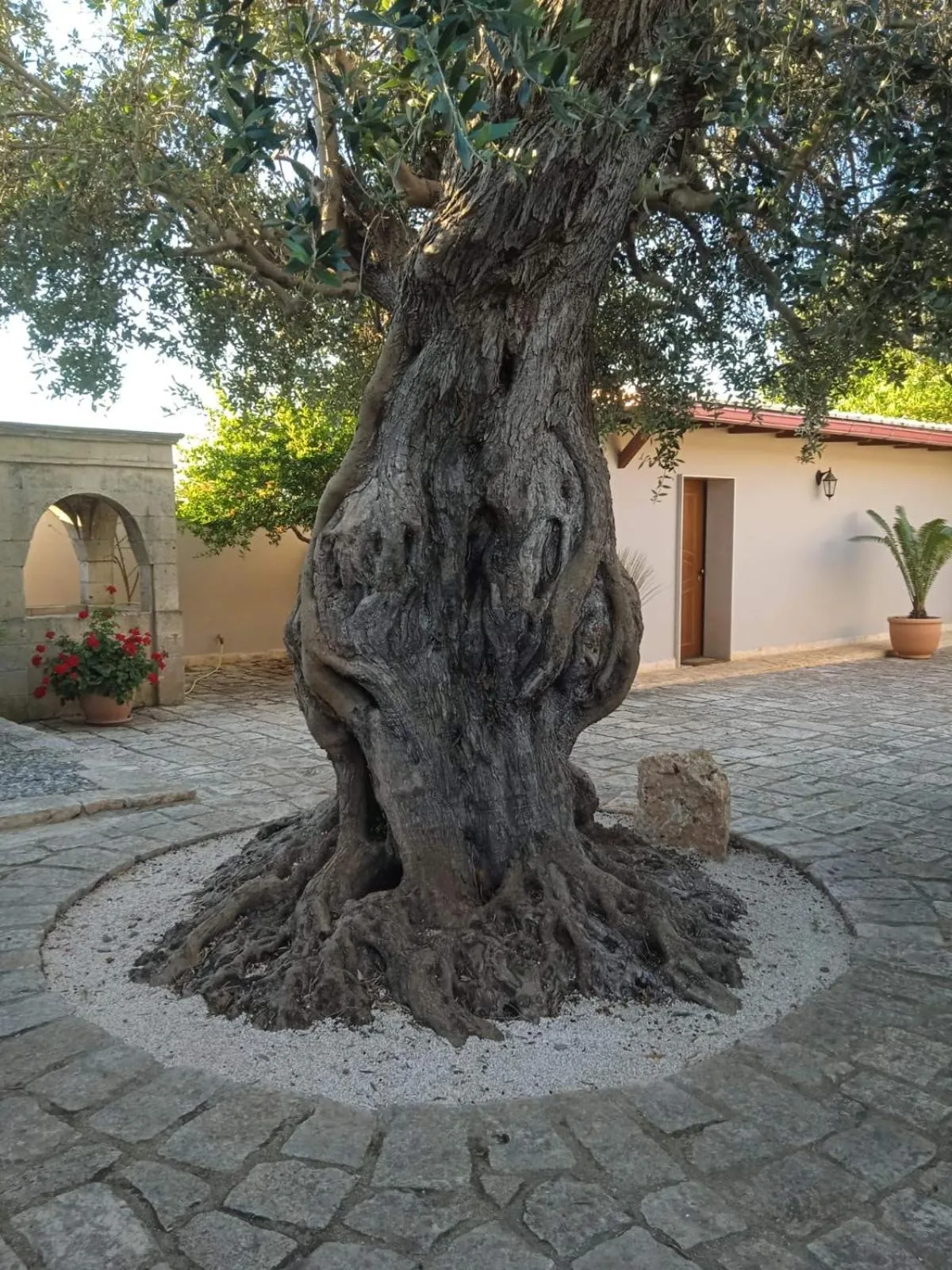 Property building in B&B Le Carrube