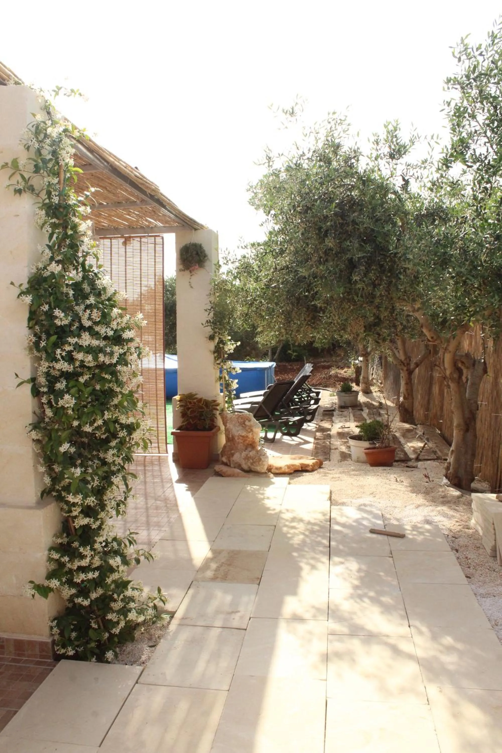 Garden in B&B Le Carrube