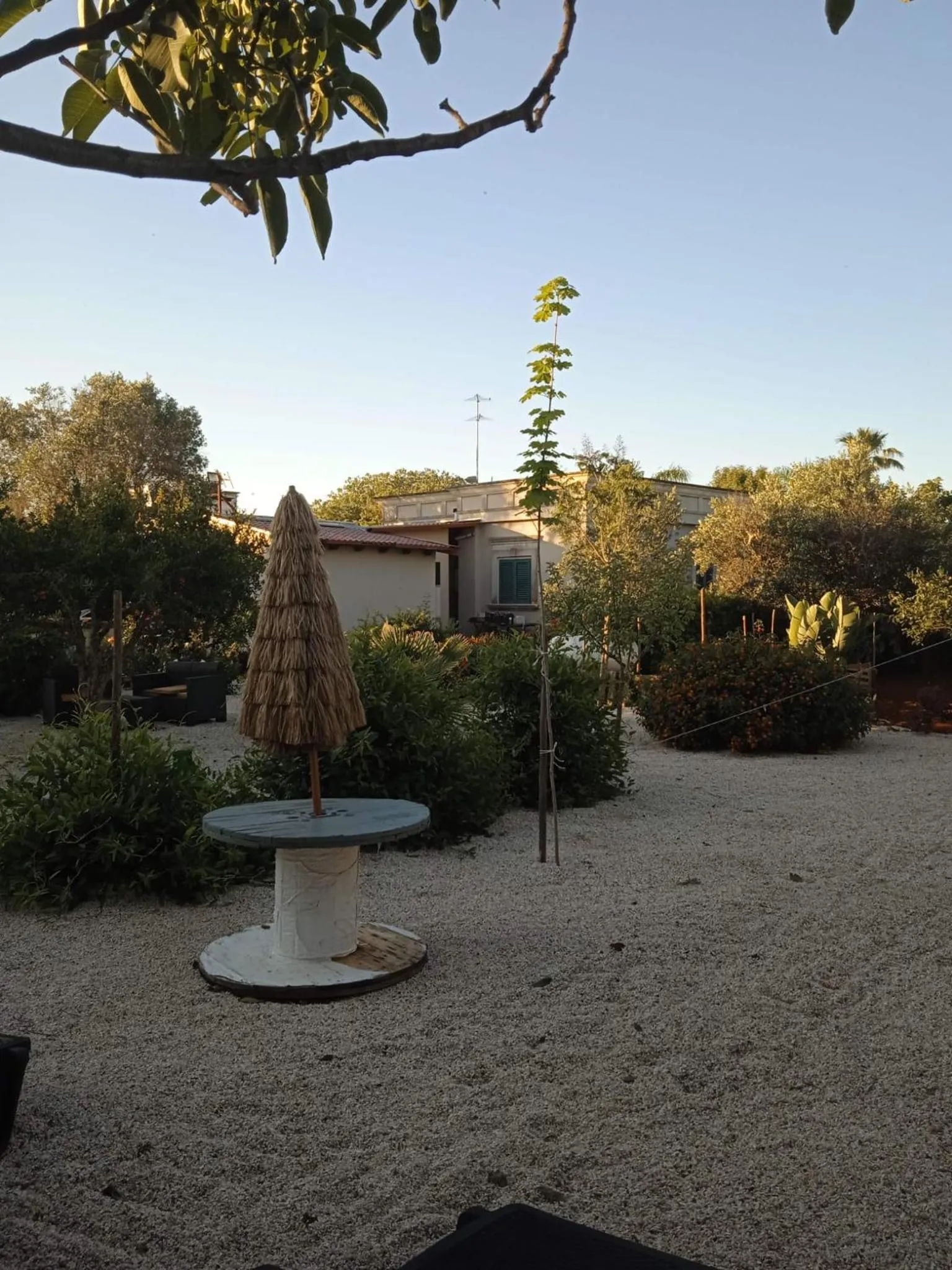 Garden in B&B Le Carrube