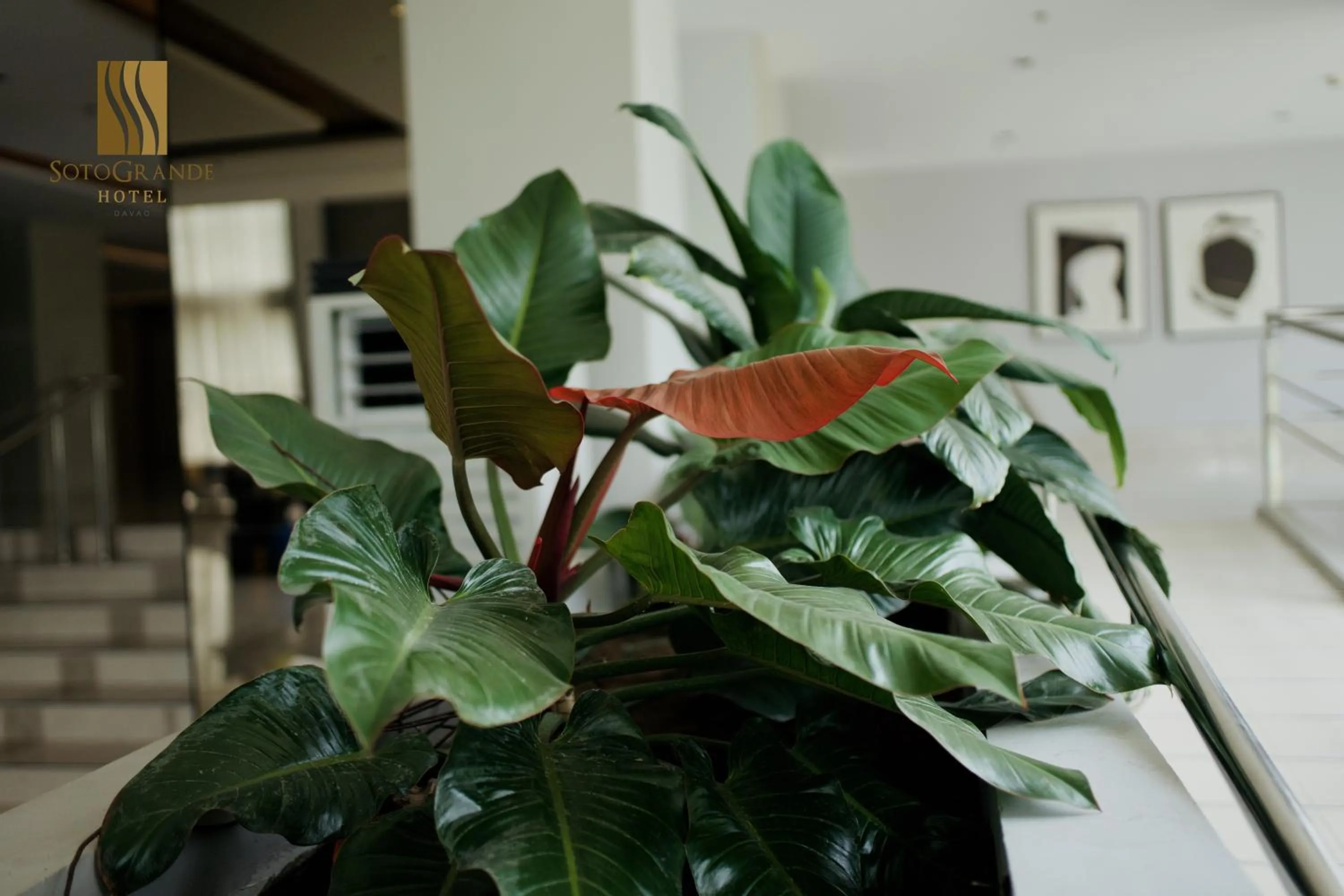 Lobby or reception in Sotogrande Davao Hotel