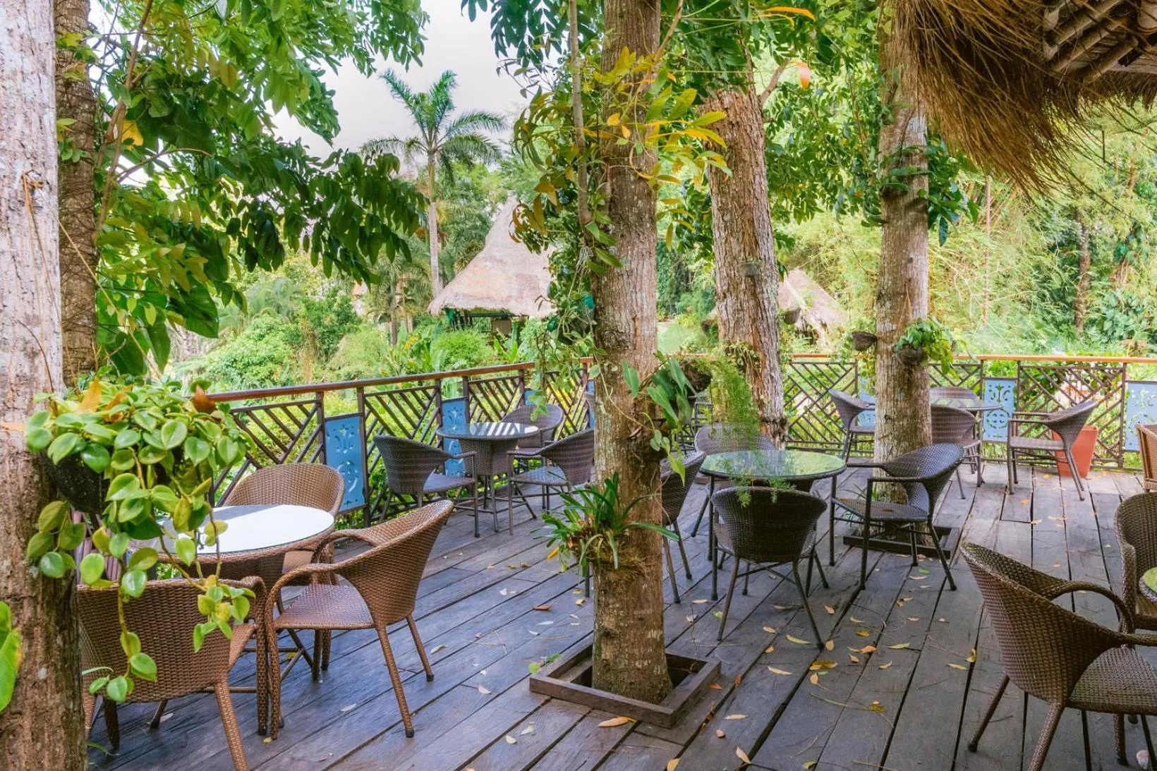 Area and facilities in Damires Hills Farm and Spa Resort