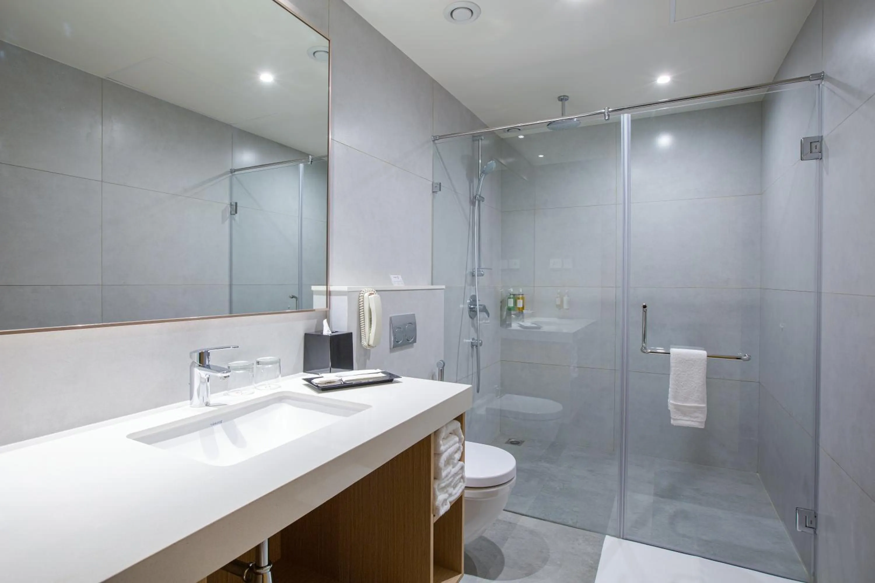 Toilet in IKON By Annapoorna