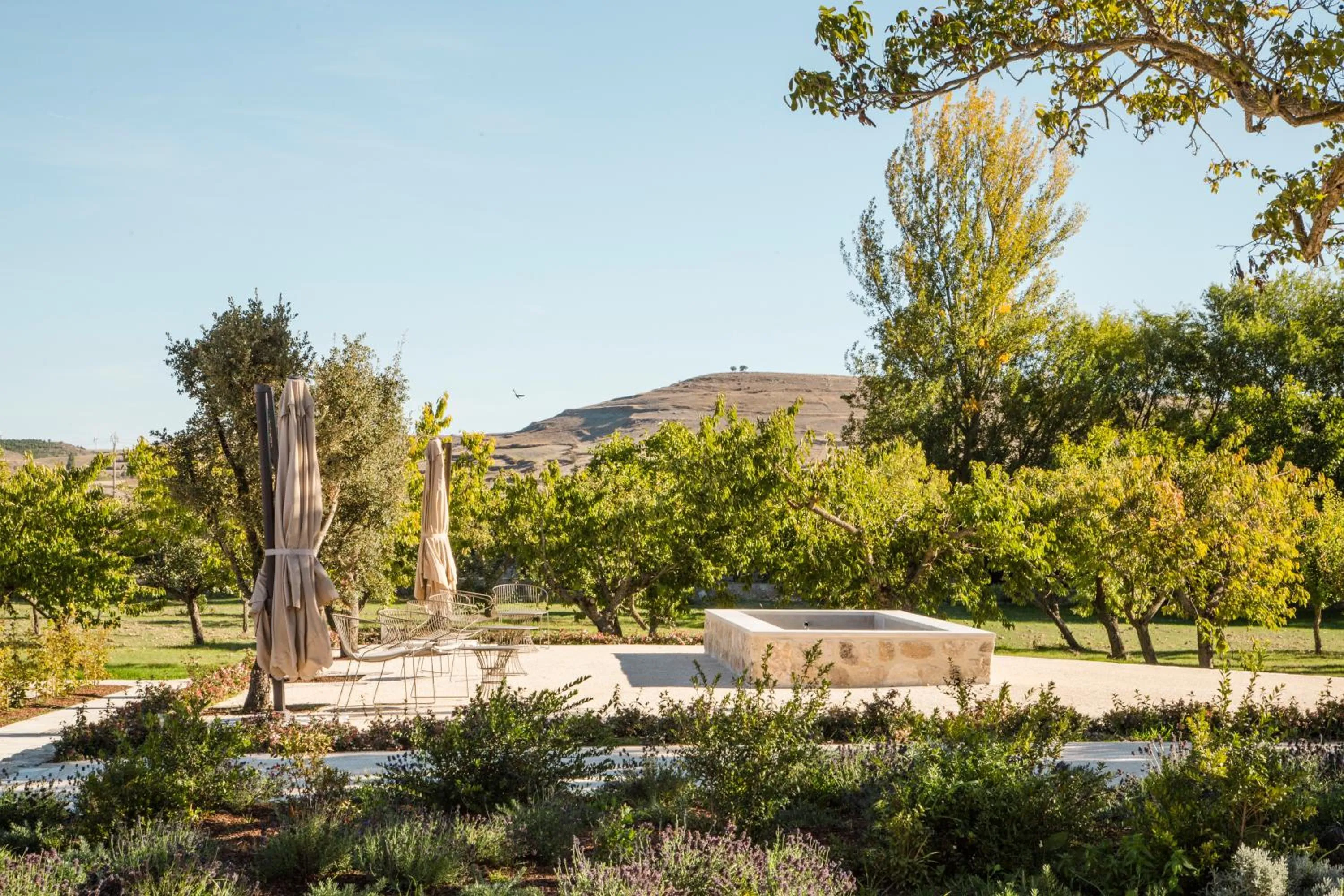 Garden in Quinta San Francisco