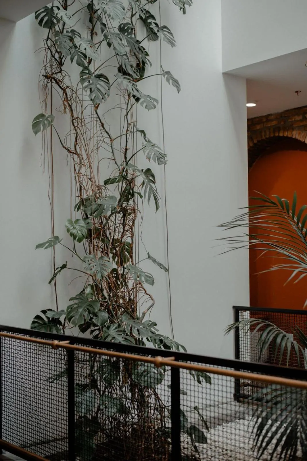 Natural landscape in Chateau Artwine