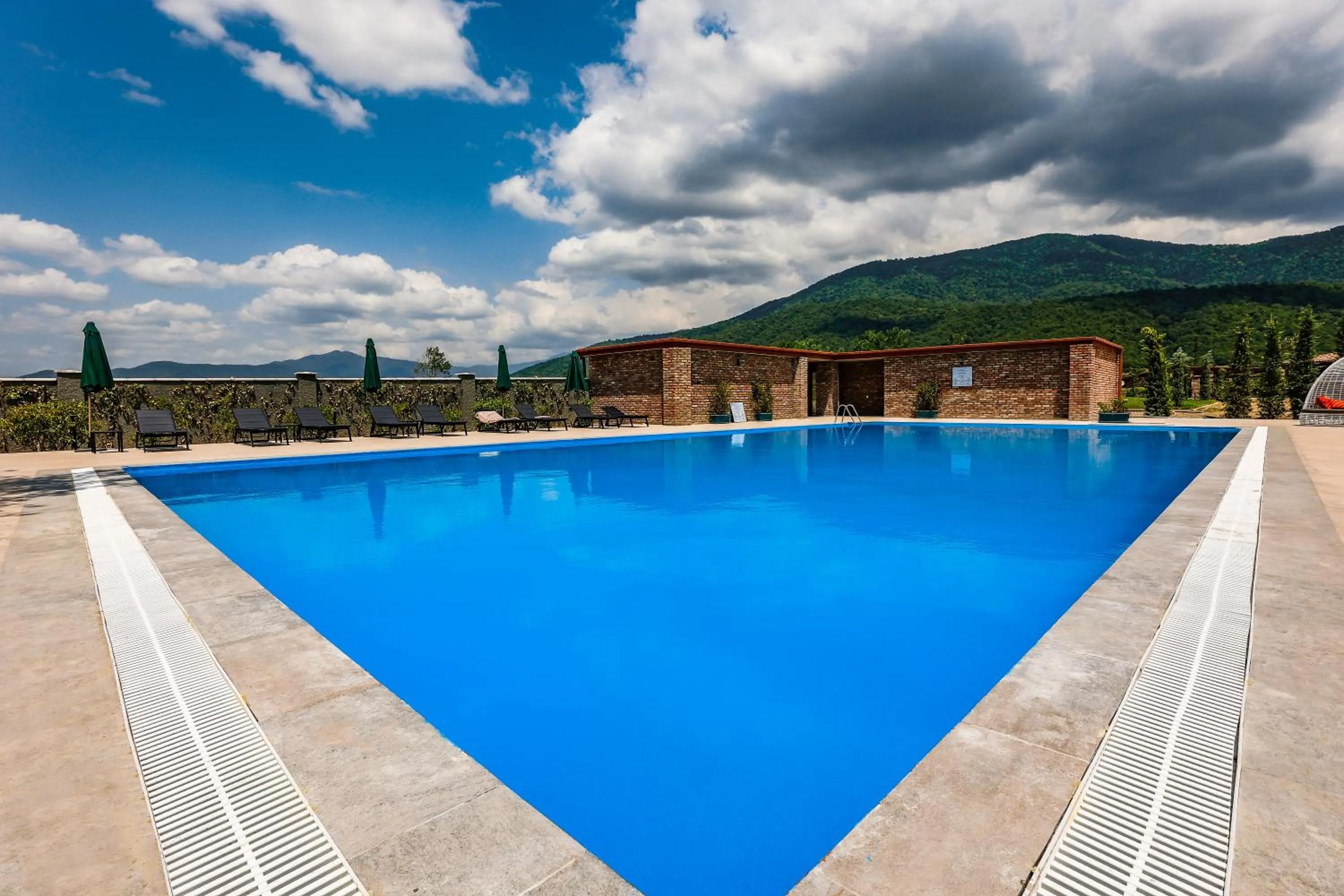 Swimming pool in Chateau Artwine