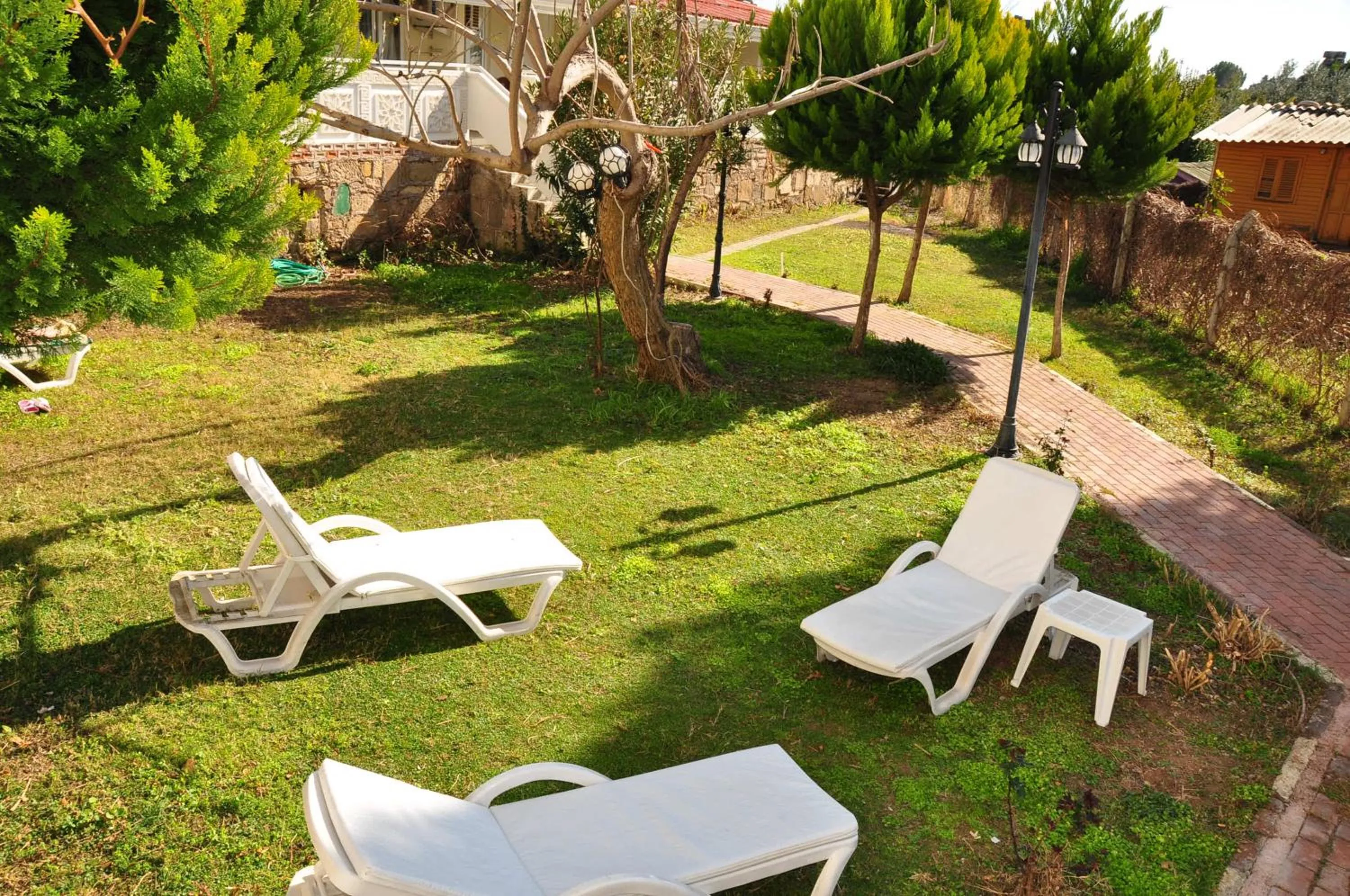Garden in Side Miami Beach Hotel