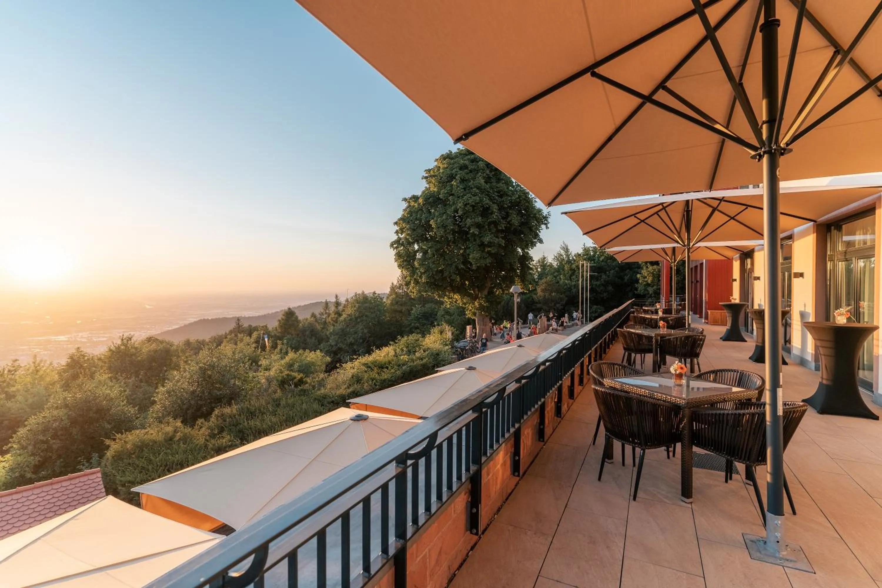 Restaurant/places to eat in Berggasthof Königstuhl