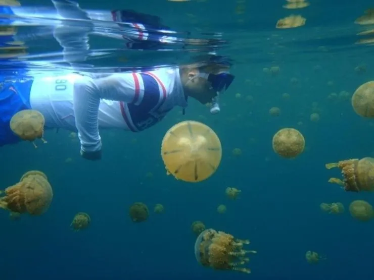 Club Tara Island Resort