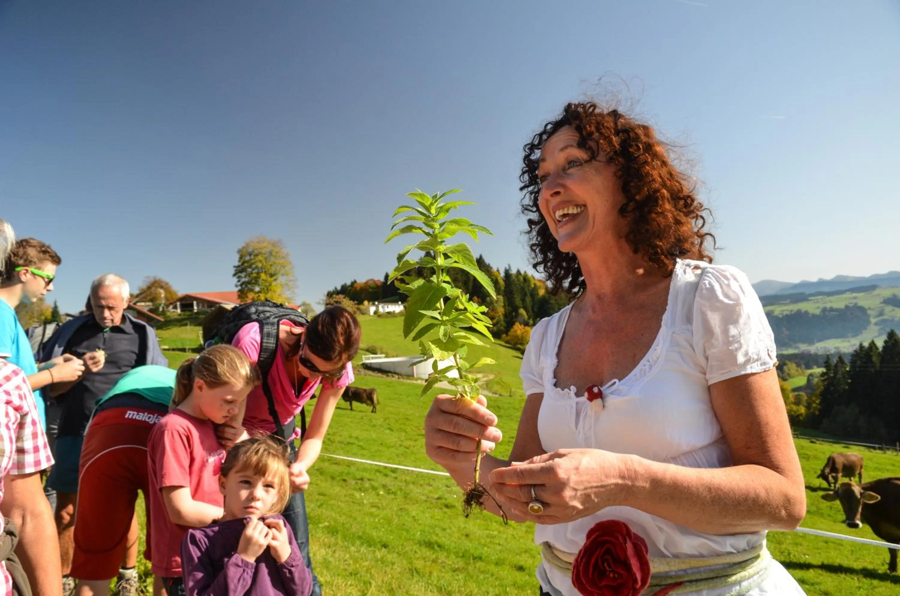 Natural landscape in Hotel Allgäu Garni