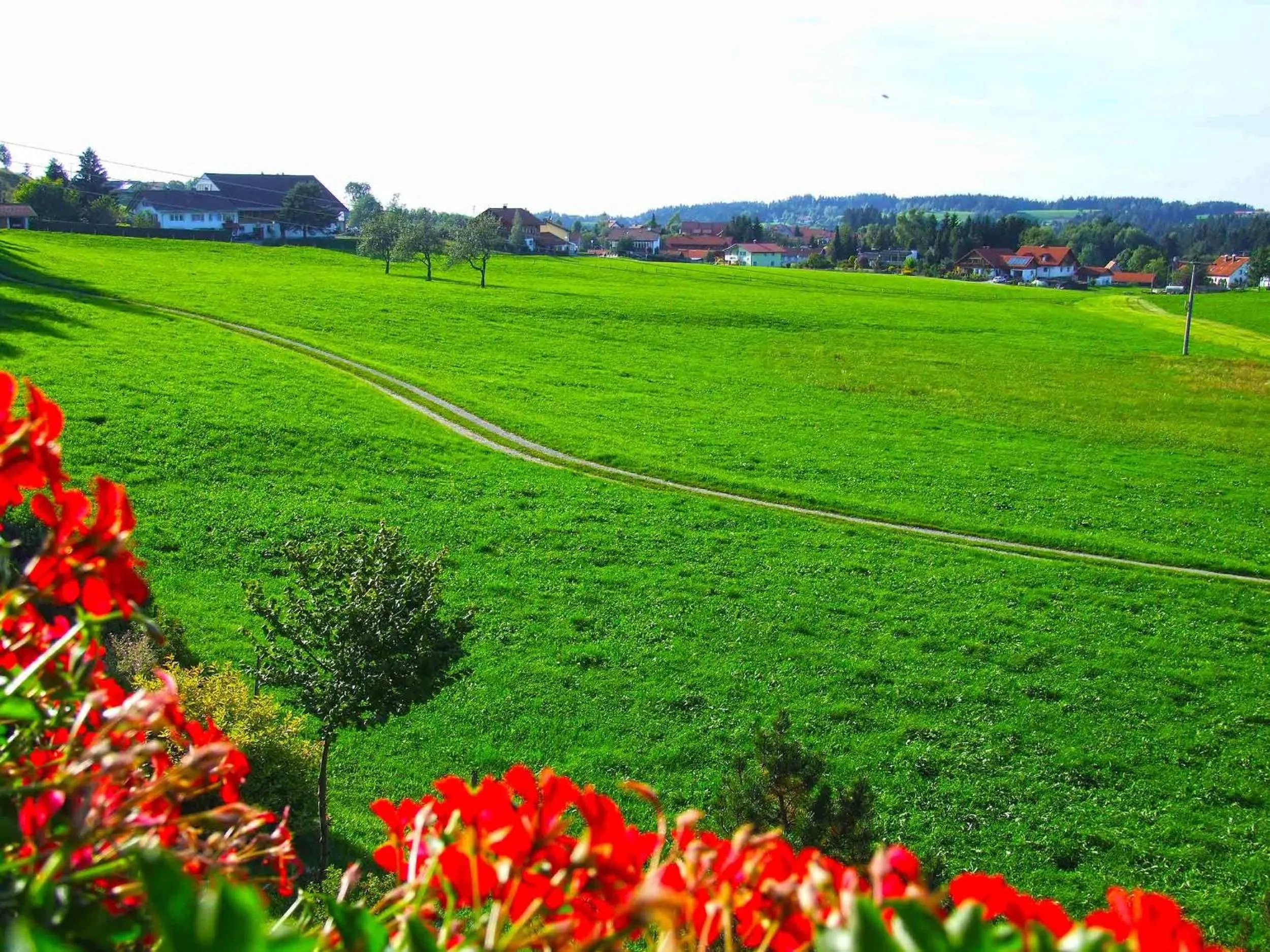 View (from property/room) in Hotel Allgäu Garni
